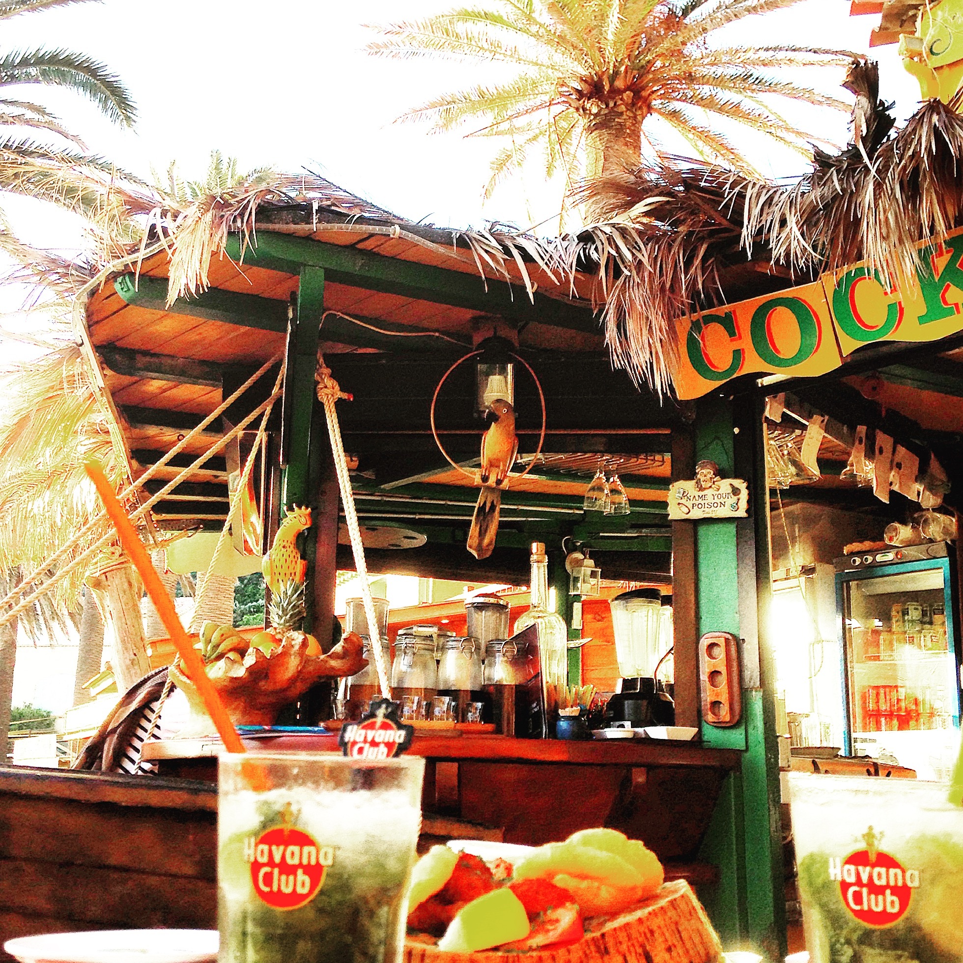 day, france, stall, communication, mojito, coconut, outdoors, tree, wooden, food, market, bar, palm trees, text, business, building exterior, plant, table, Phone HD Wallpaper