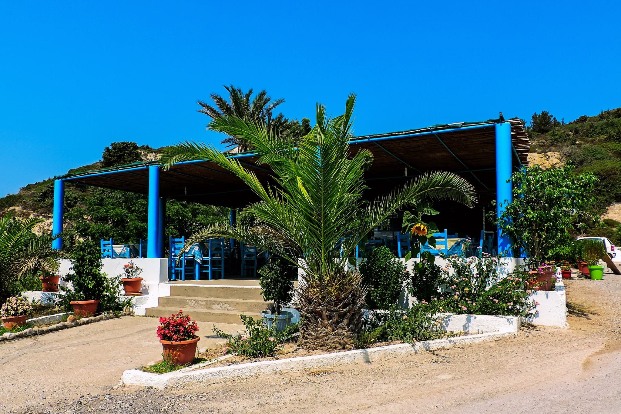 tavern, clear sky, palm tree, blue, architecture, exciting, luxury, growth, nature, tropical climate, plant, local typical, potted plant, emotions, tree, HD Wallpaper