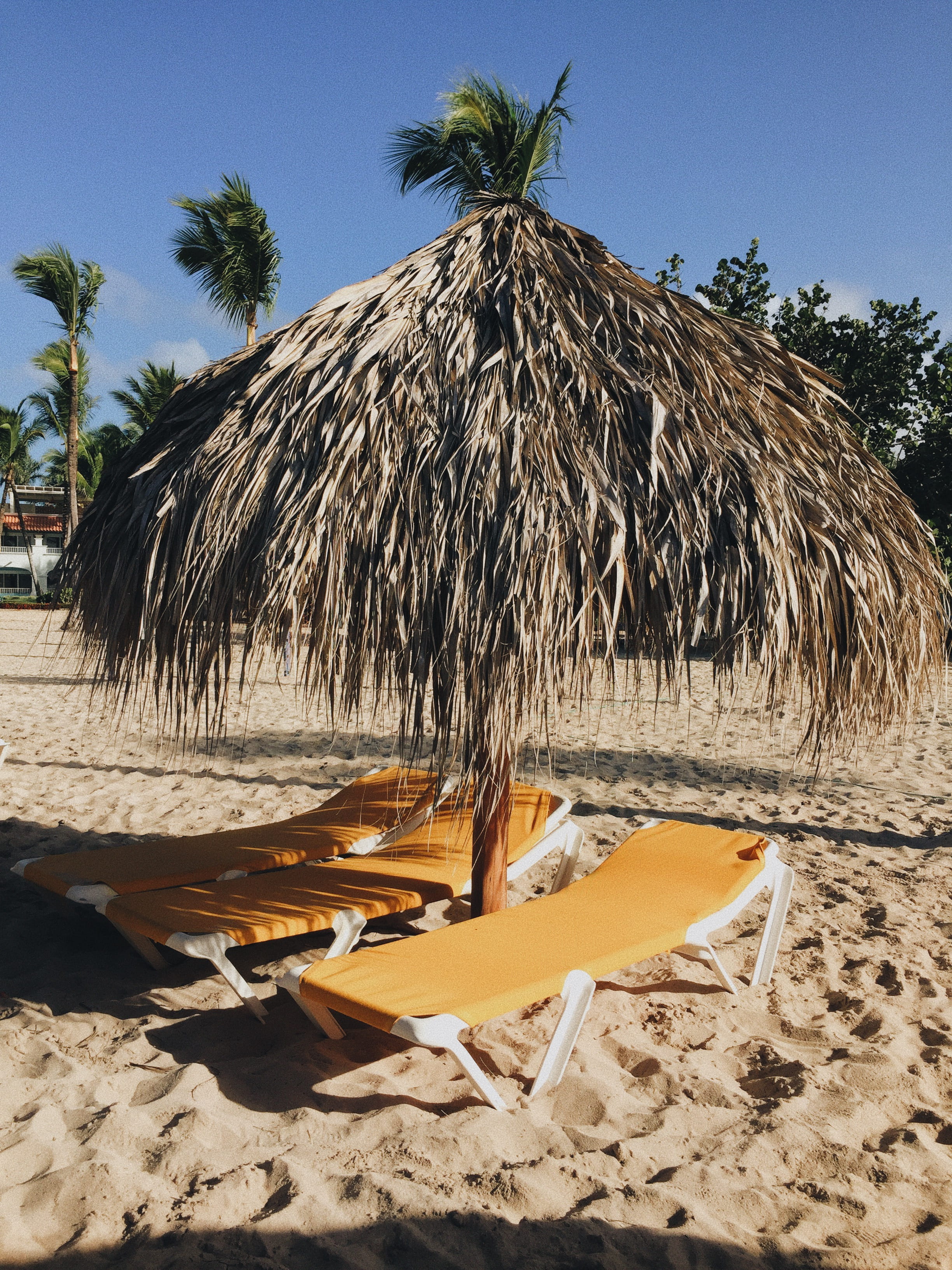 plant, daylight, sunlight, outdoors, vacation, nature, palm tree, tiki, 2K, tropical climate, land, beach, scenics - nature, sandy, umbrella, tranquility, Phone HD Wallpaper