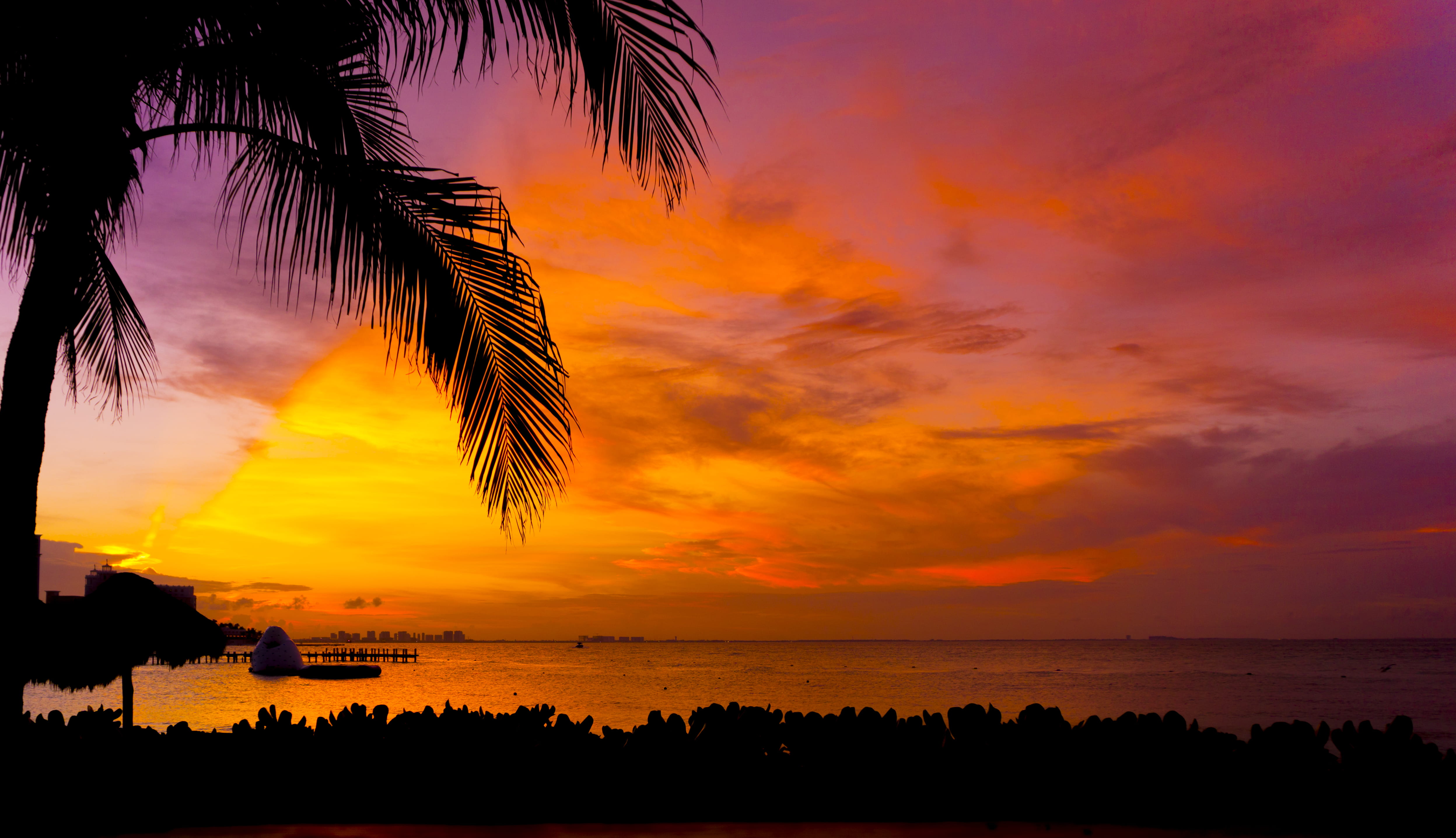 android, water, tree, sea, palm leaf, romantic sky, cuba, cancún, silhouette, mexico, idyllic, boardwalk, horizon over water, no people, dock, HD Wallpaper