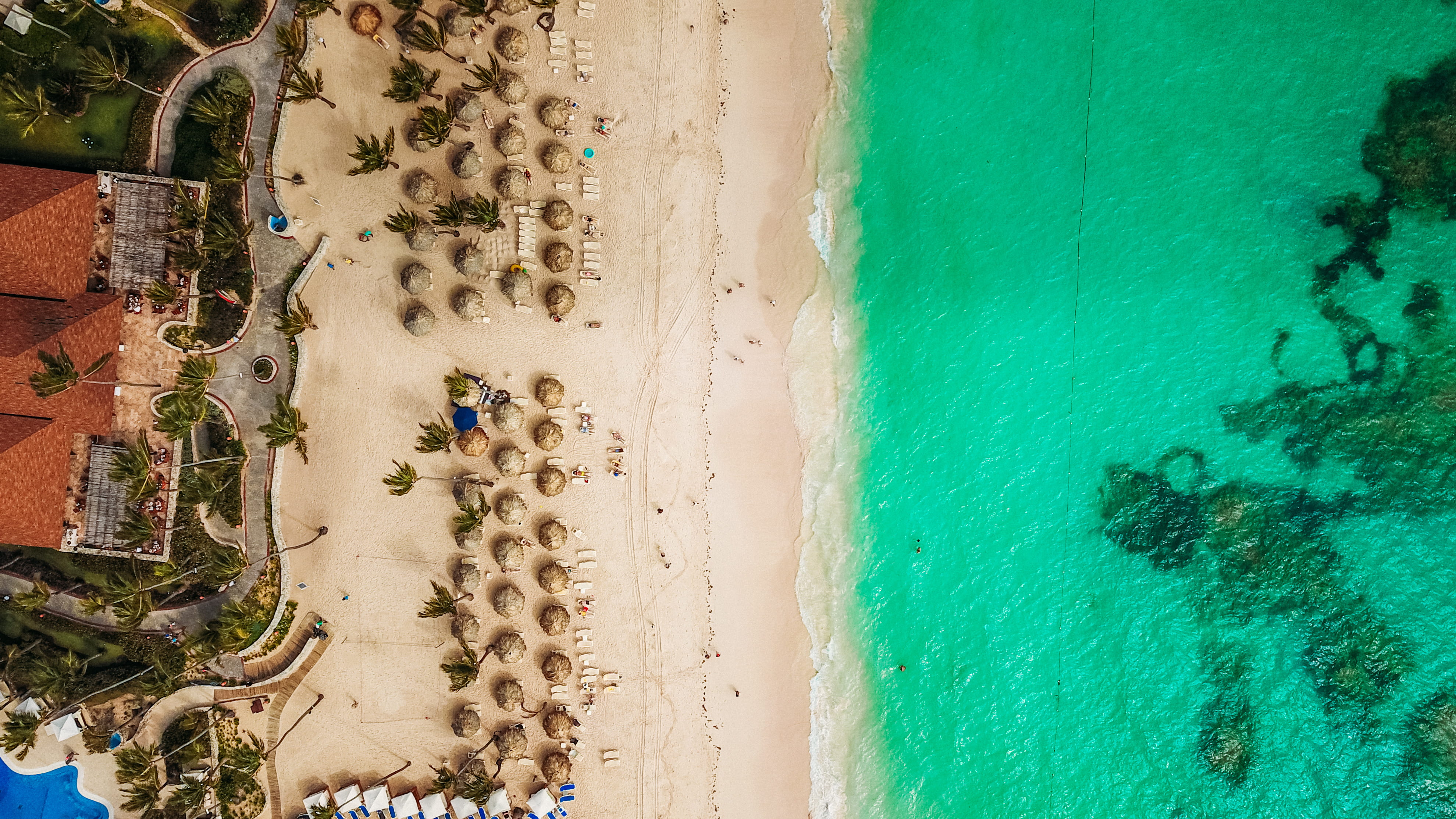 view, aerial view, green water, turquoise colored, photography, land, tree, tropical beach, drone view, incidental people, palm tree, dominican republic, HD Wallpaper