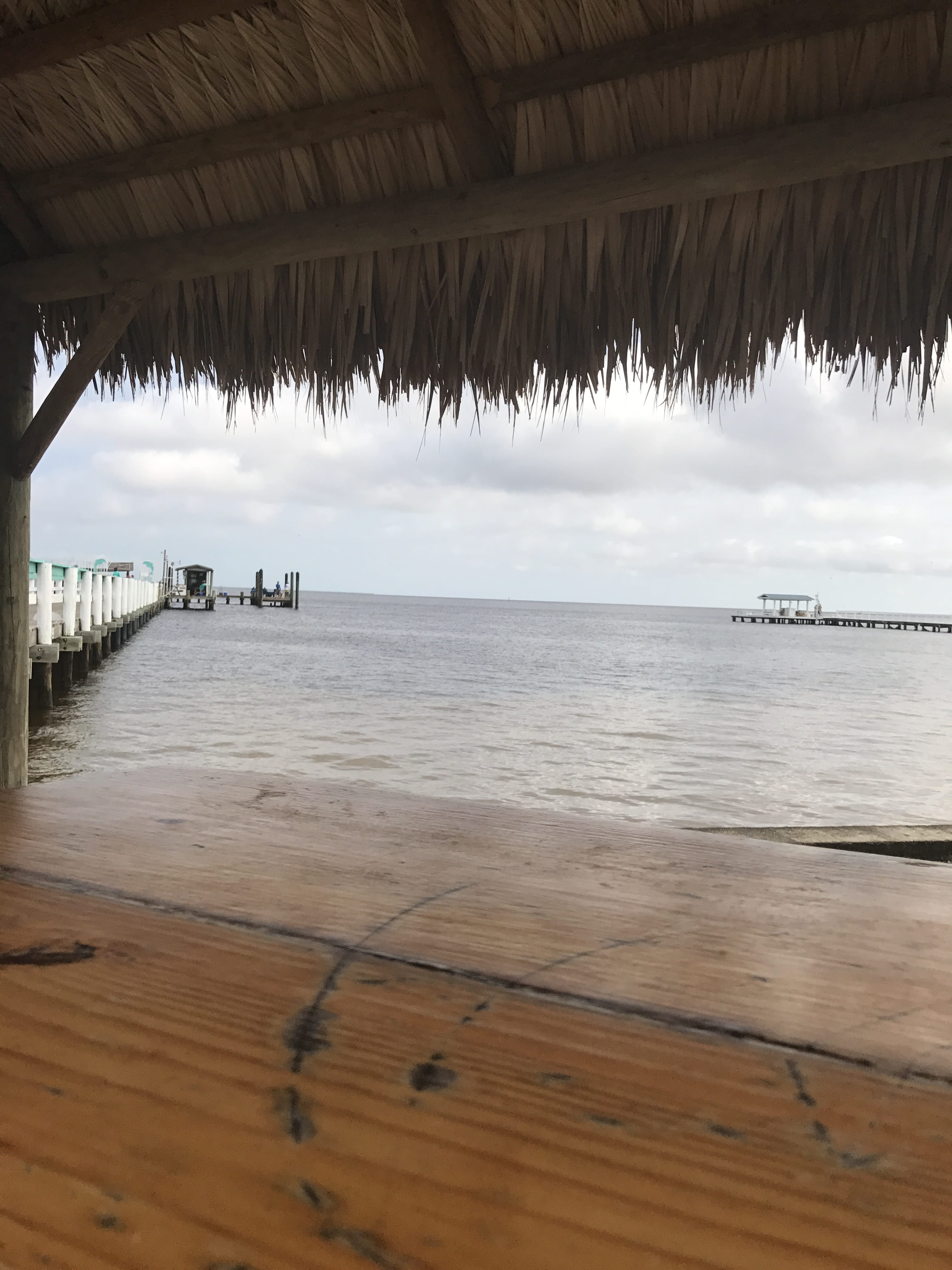 dock, beauty in nature, bar, water, united states, scenics - nature, horizon over water, tranquility, tranquil scene, tiki, hut, day, nature, architecture, Phone HD Wallpaper