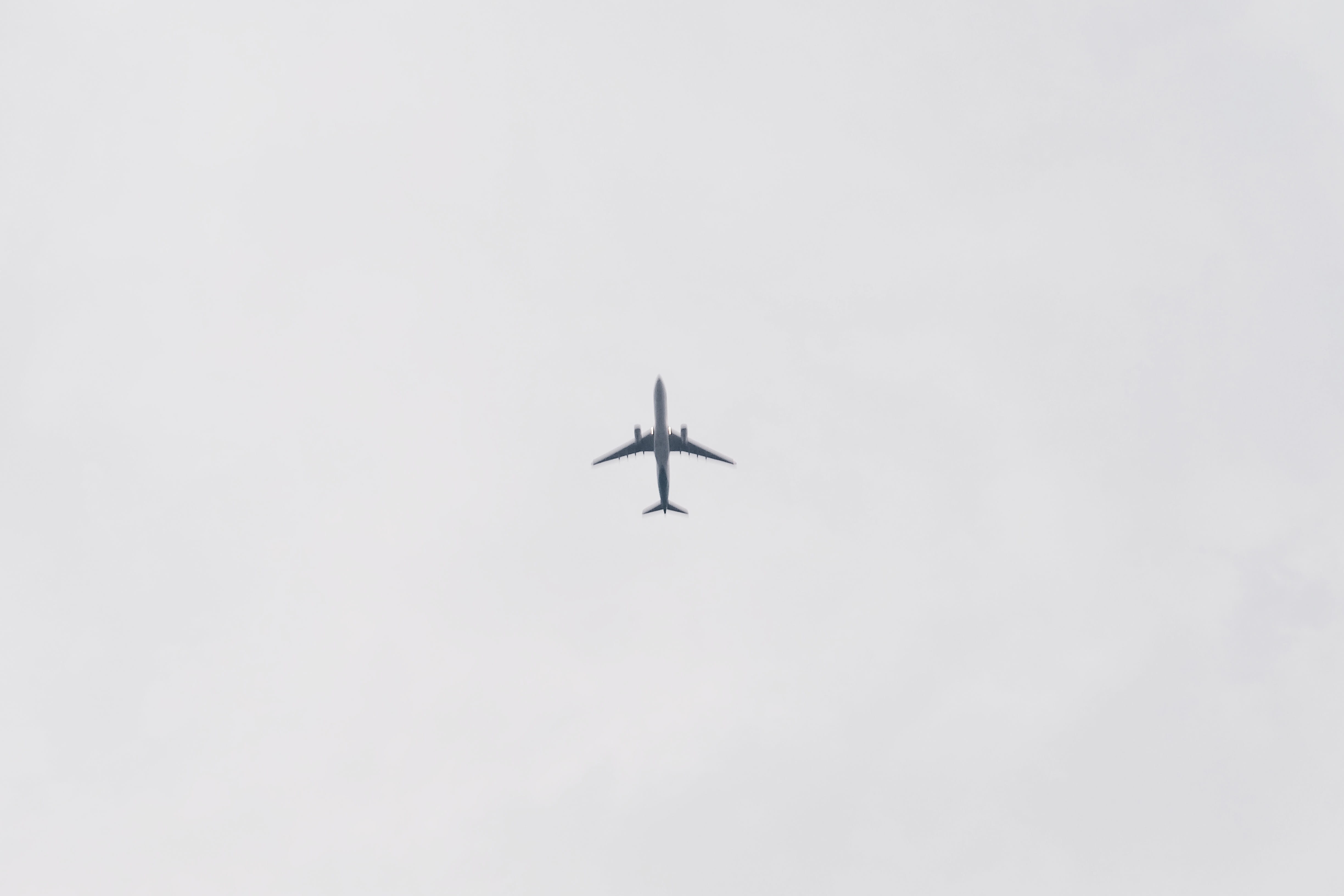 mood, fujifilm, transportation, fly, directly below, motion, nature, animal themes, gray, sky, air vehicle, animal, flying, outdoors, plane, travel, gloomy, HD Wallpaper