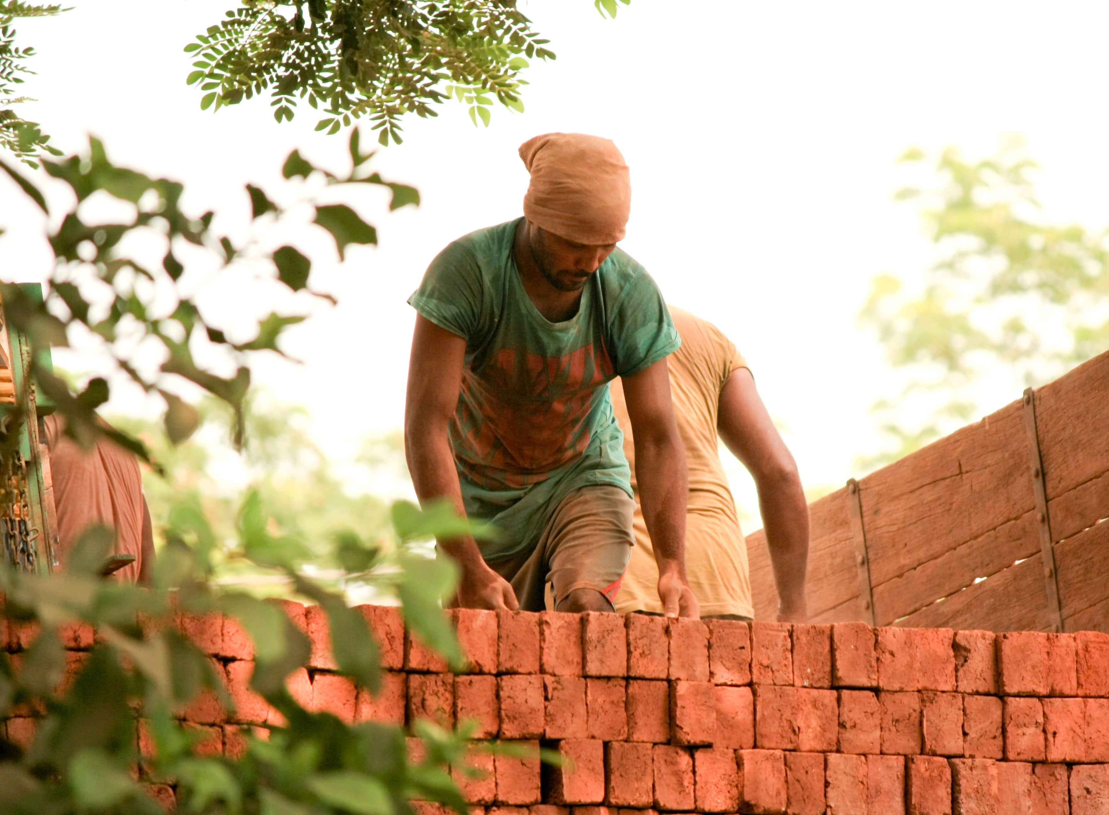 worker, building, people, young men, sunlight, leisure activity, nature, labourer, outdoors, wall, low angle view, sky, man, 2K, males, plant, loading, HD Wallpaper