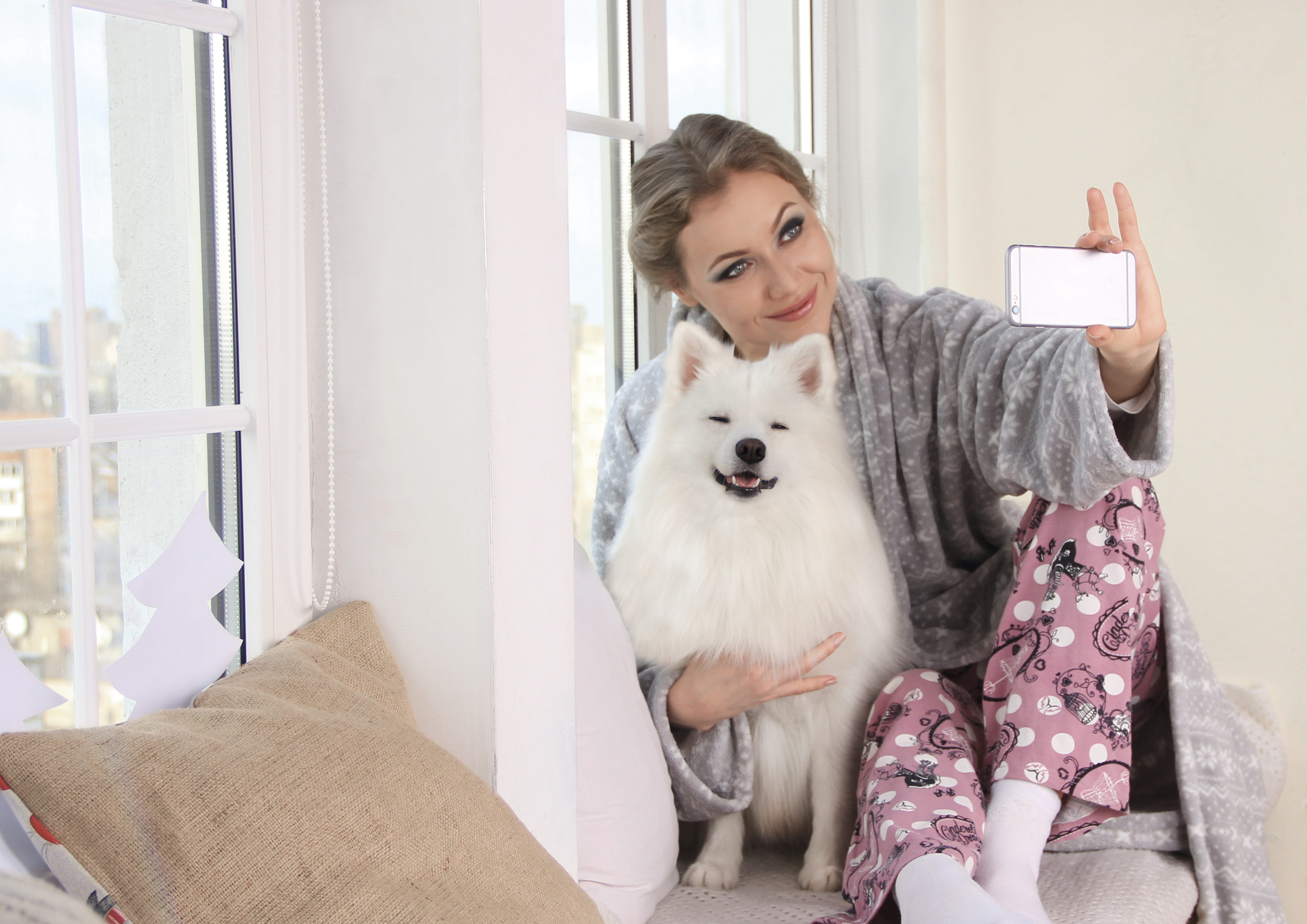 bedroom, taking photo, pets, daylight, wireless technology, white, pet, one animal, home, technology, casual clothing, domestic, woman, taking, indoors, HD Wallpaper