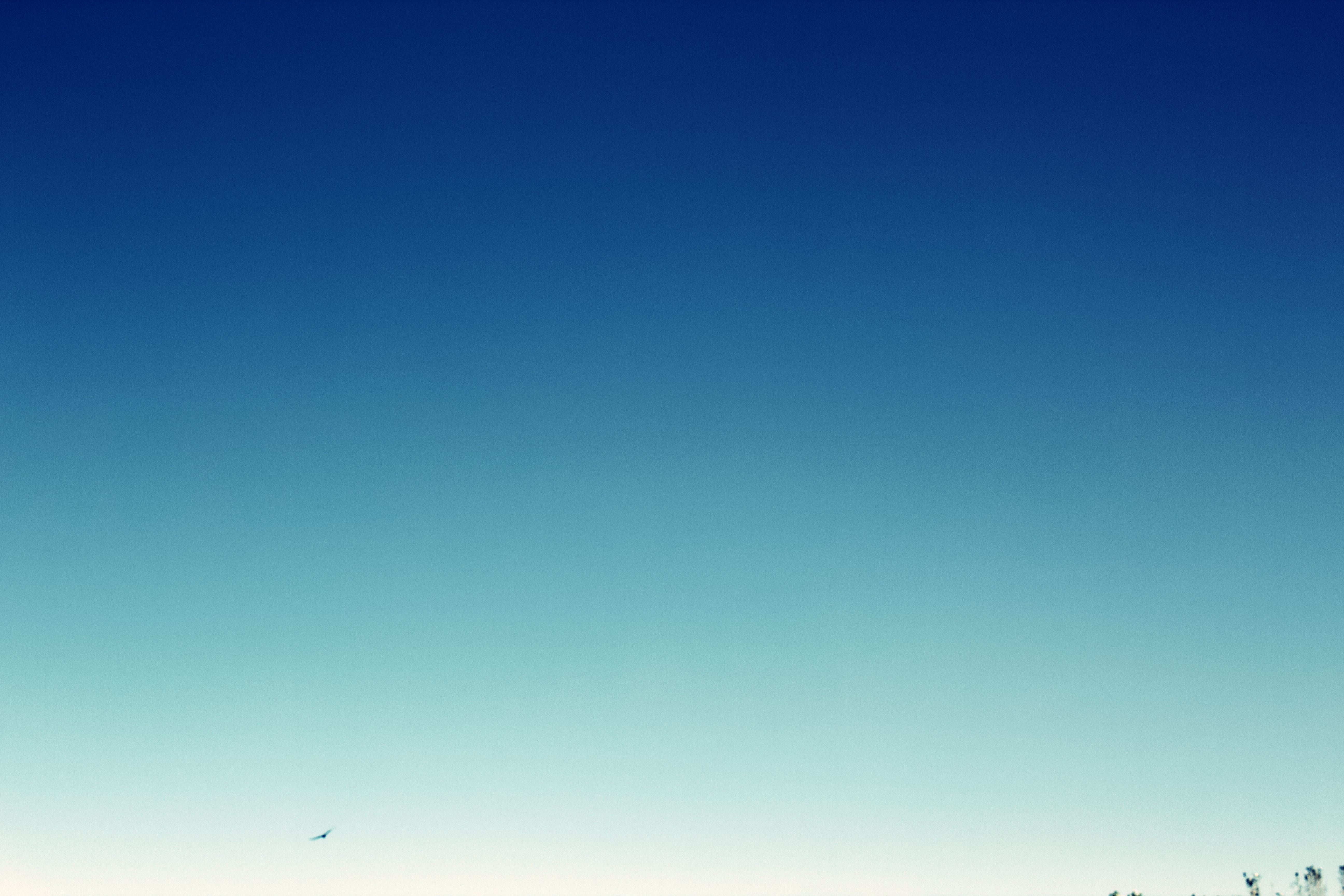 above, sky, copy space, scenics - nature, low angle view, sunny, backgrounds, mid-air, tranquil scene, nature, sunset, flying, full frame, united states, HD Wallpaper