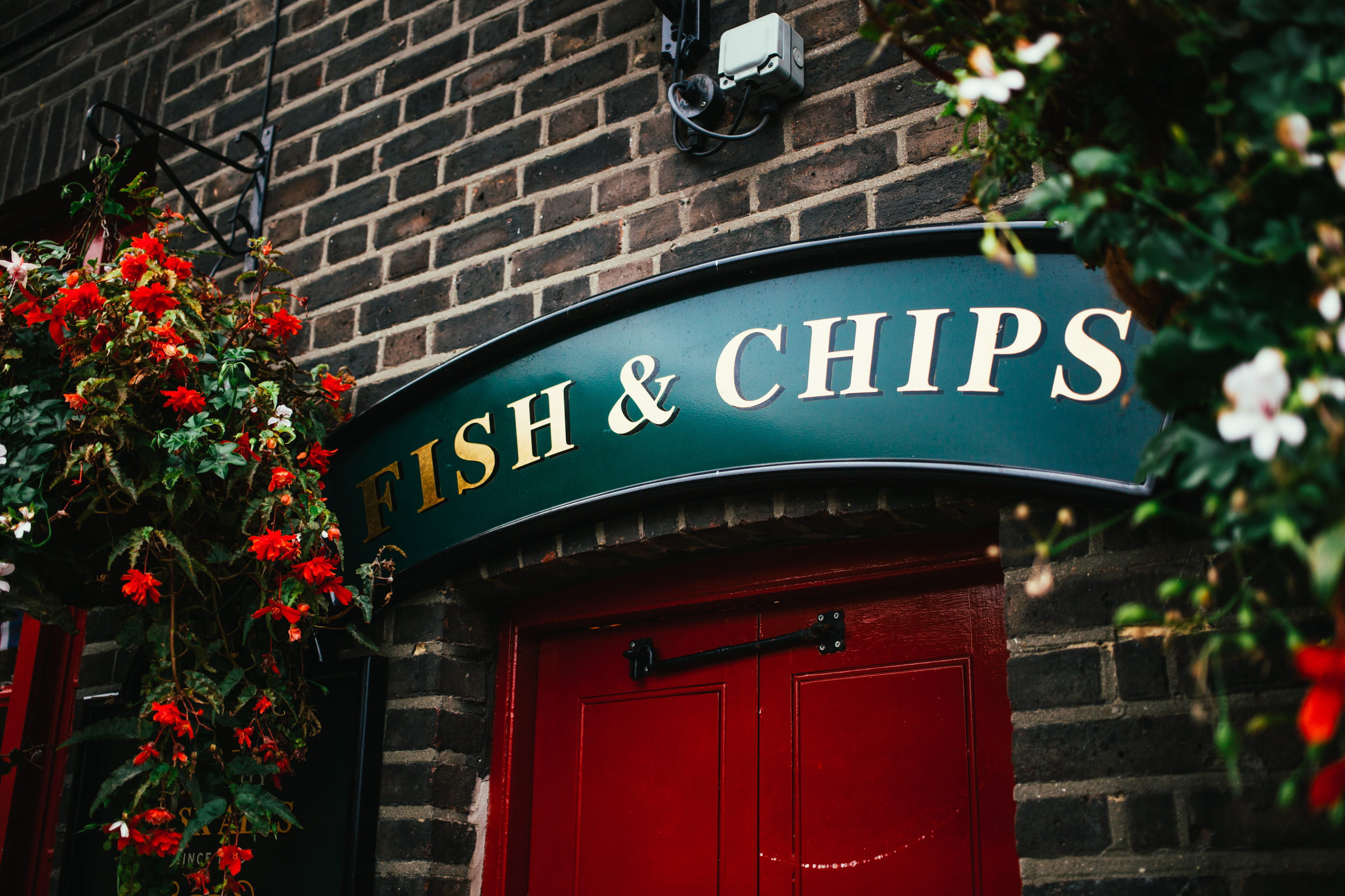 restaurant, no people, flower, city, western script, lunch, door, cafe, fish, food, plant, built structure, shop, red, nature, flowering plant, advertisement, HD Wallpaper