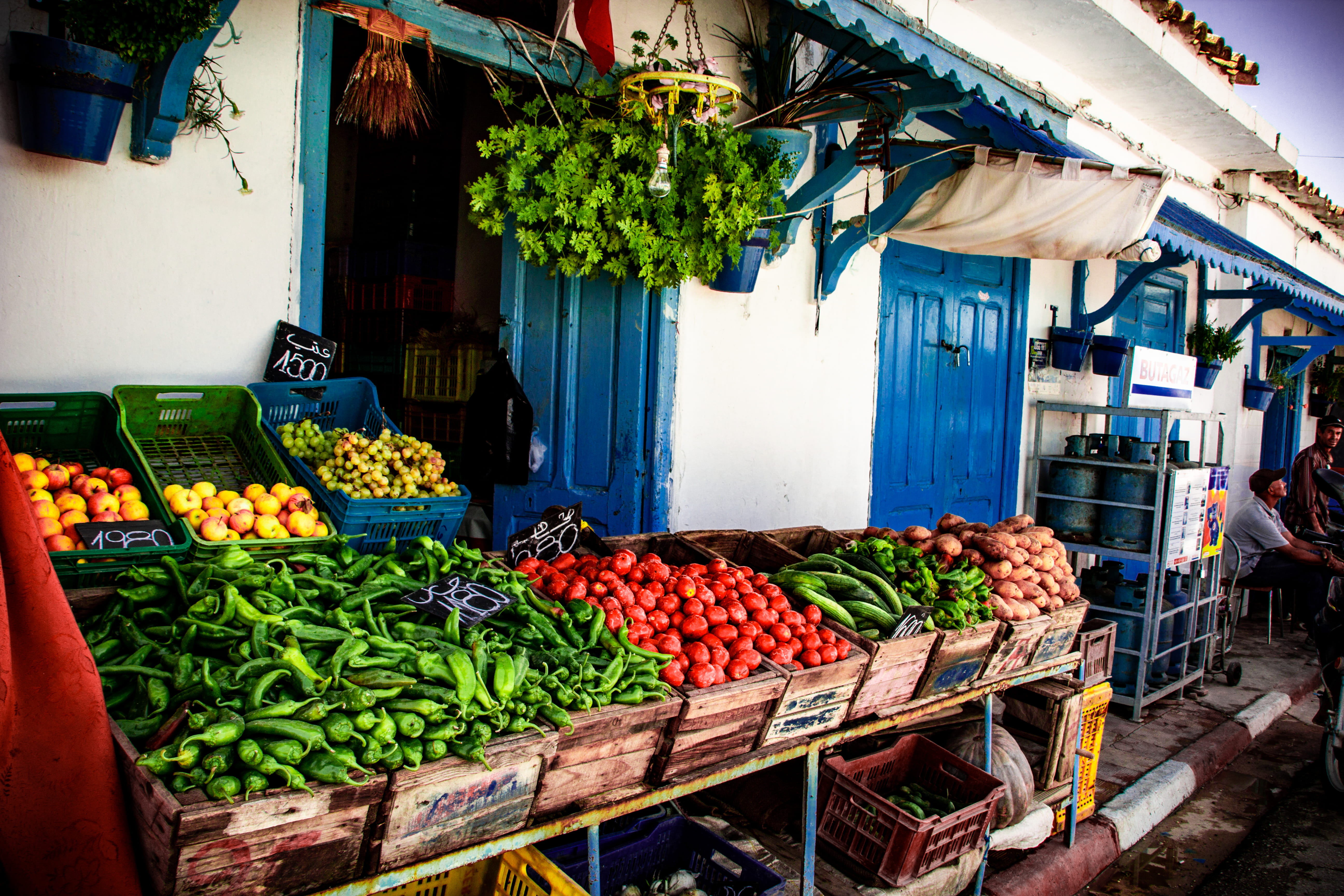 plant, food, abundance, freshness, retail, squash, container, cushion, market, produce, crate, sale, street market, vegetable, variation, melon, store, HD Wallpaper