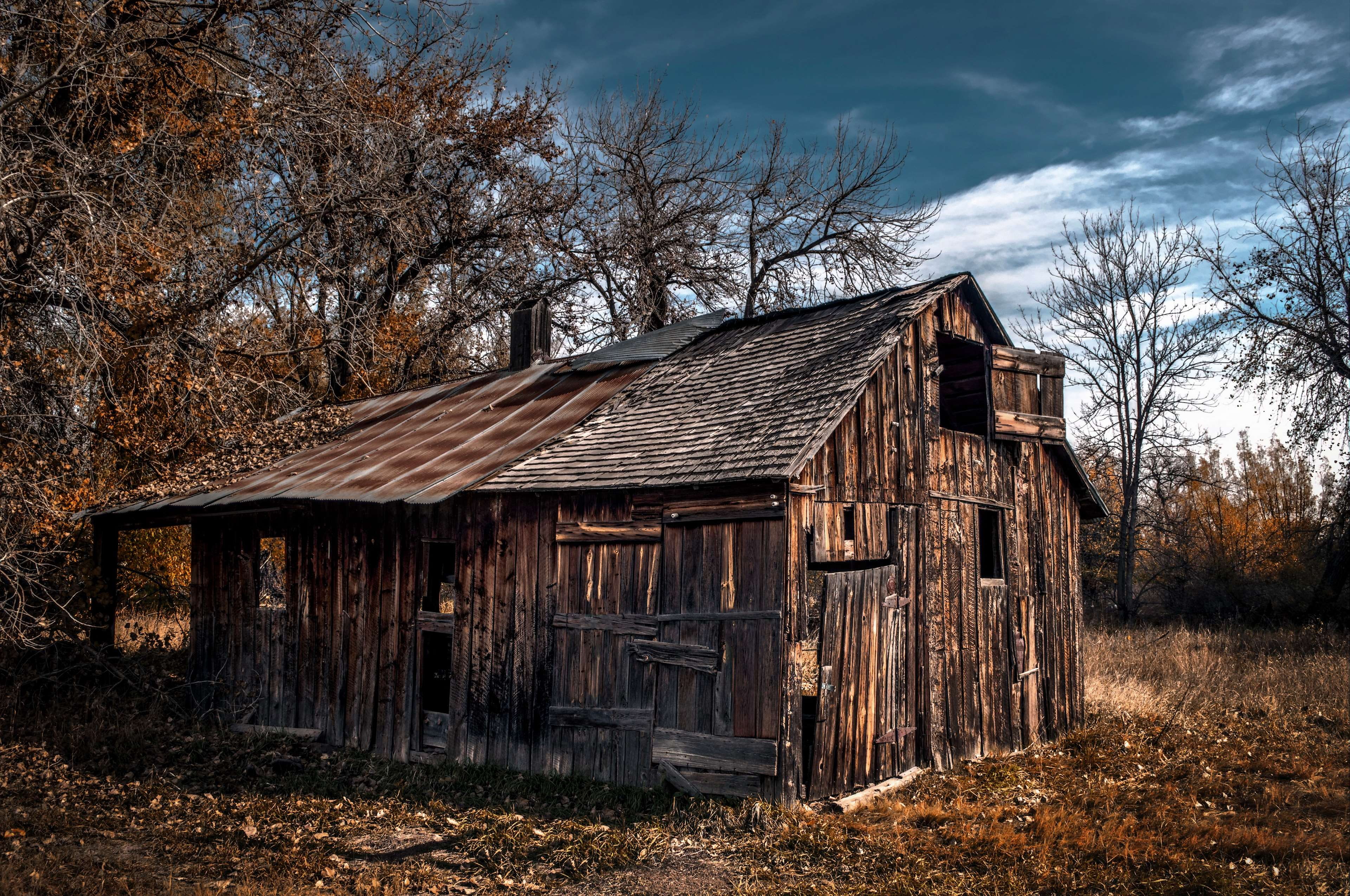 cottage, outdoors, fort collins, cabin, ranch, run-down, autumn, built structure, wood - material, deterioration, 4K, tree, bare tree, nature, rural, day, HD Wallpaper