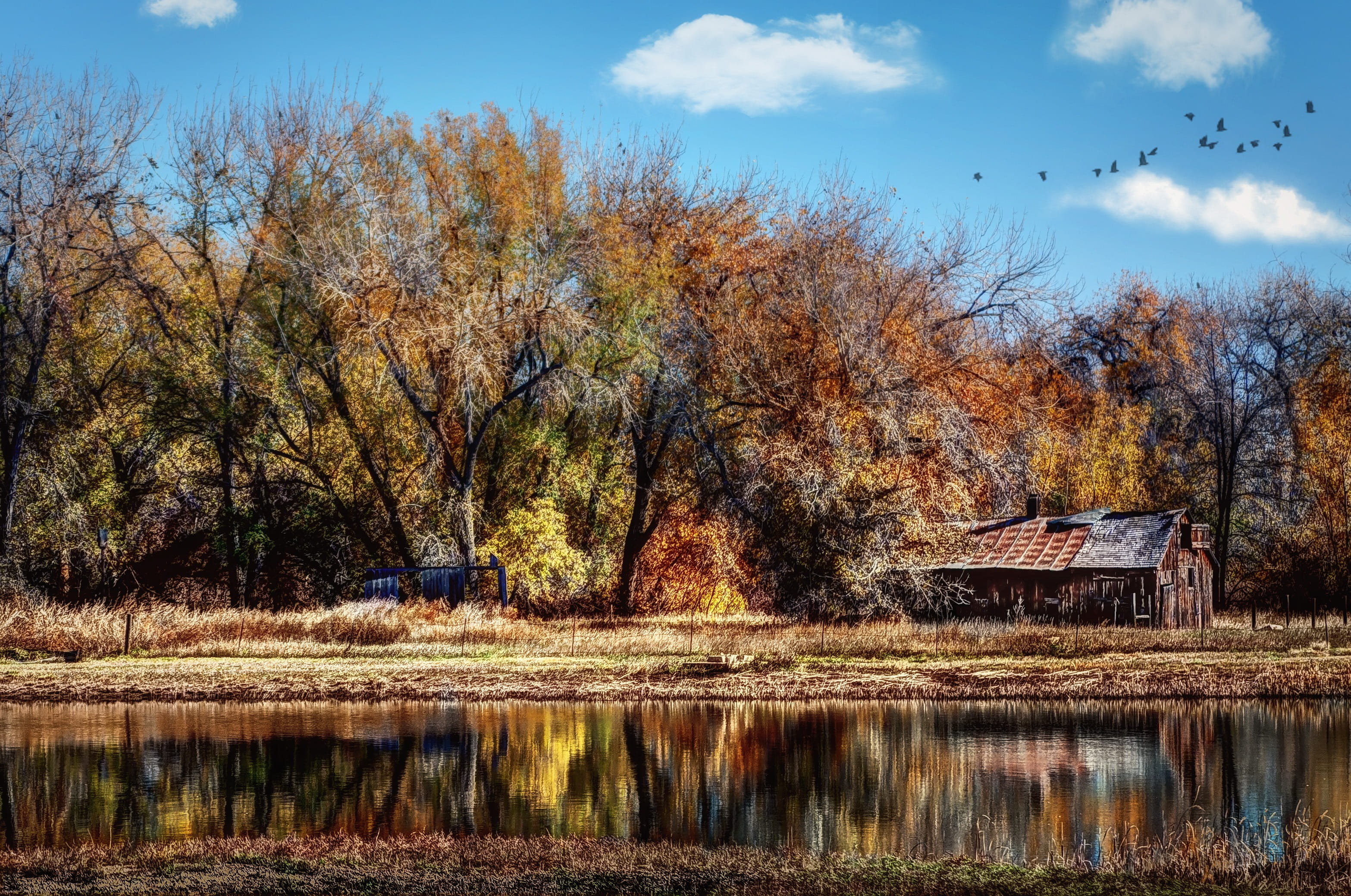 scenics - nature, waterfront, leaved, boxelder, tranquility, near, ranch, fort collins, plant, brown house, tranquil Scene, rural, house, nature, outdoors, HD Wallpaper