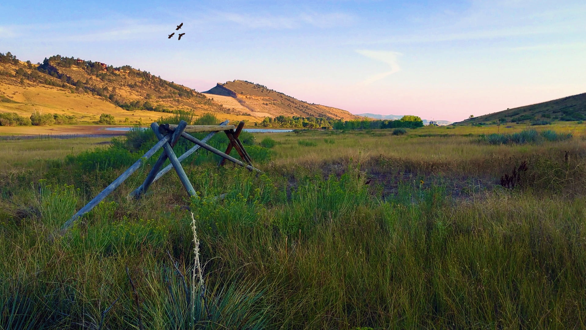 tranquil scene, non-urban scene, blue, landscape, majestic, fort collins, field, grasses, pineridge natural area, collins, pines, land, wild, sunlight, HD Wallpaper