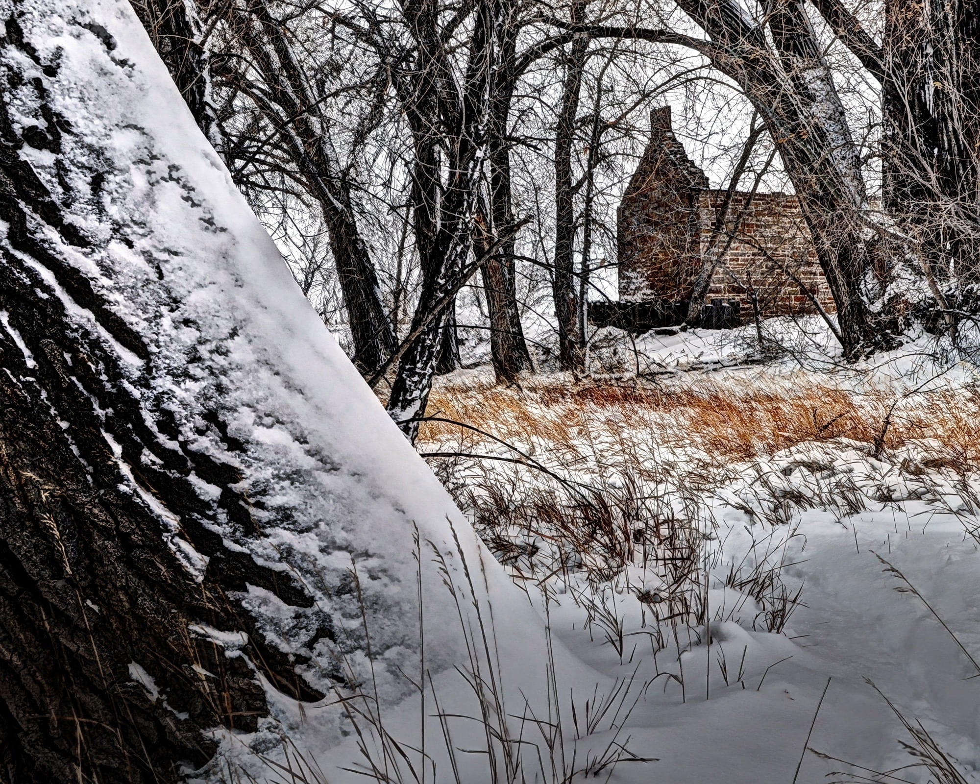 snowcapped mountain, tree, plant, trunk, cabin, outdoors, robert strauss, fort collins, frozen, tranquil scene, nature, 1080P, non-urban scene, scenics - nature, HD Wallpaper