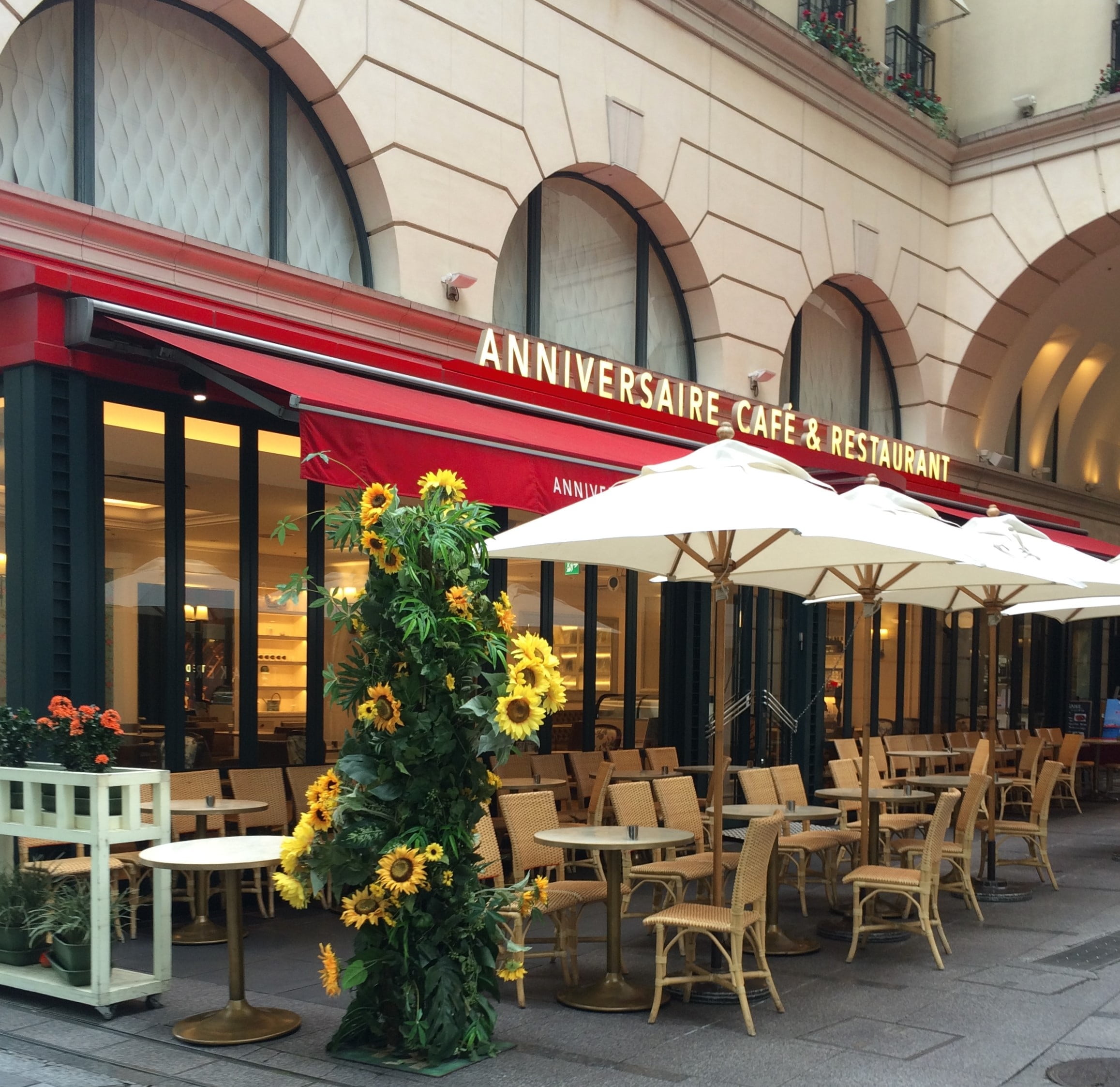 outdoors, building exterior, umbrella, plant, day, no people, sunflower, architecture, business, japan, seat, omotesando, umbrellas, brown, patio, cafe, HD Wallpaper