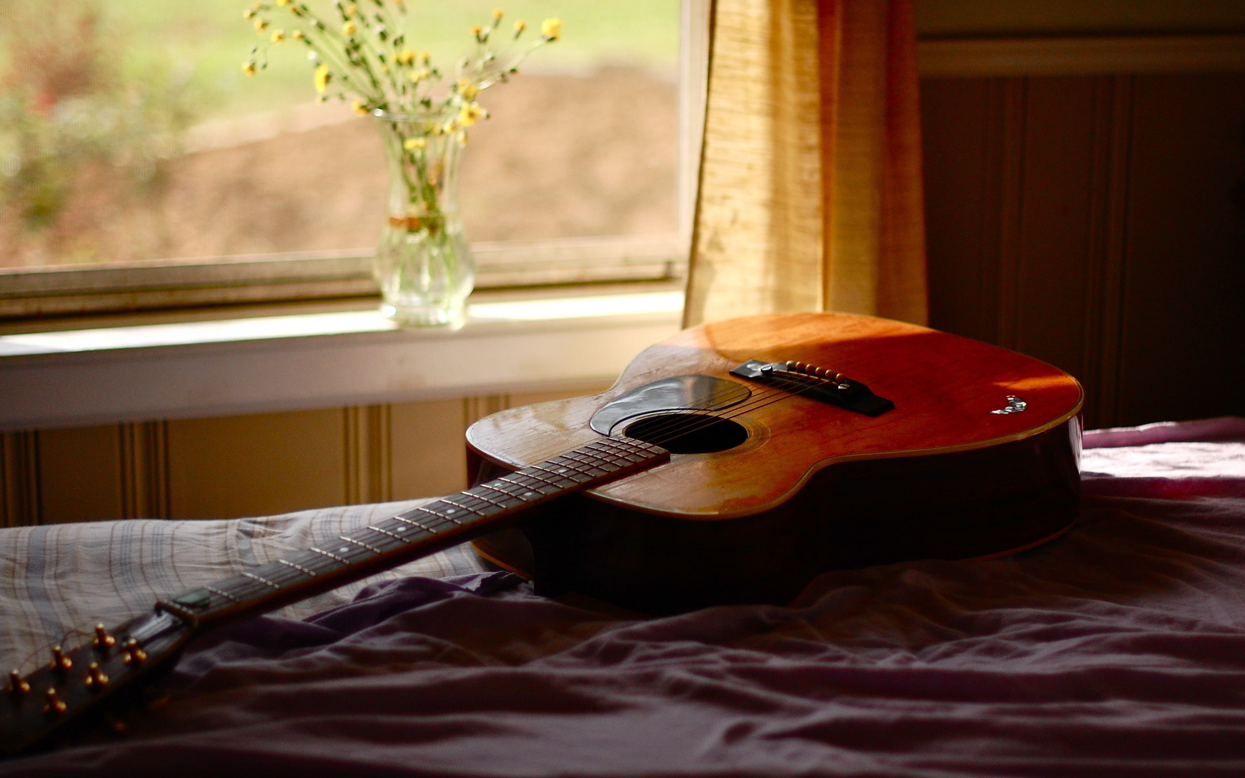 window, flowers, 2K, guitar, vases, HD Wallpaper