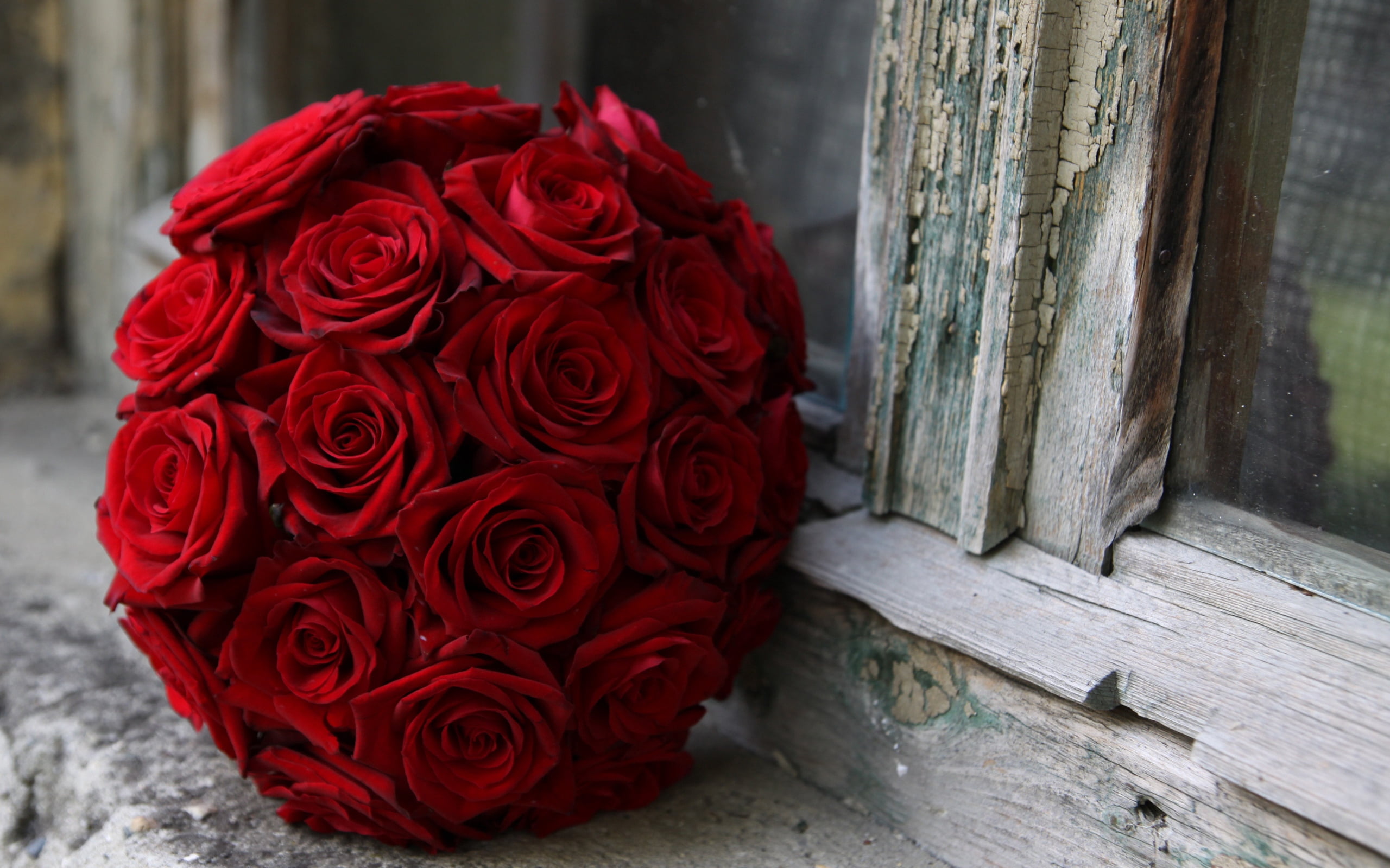 cracks, wedding, window sill, plant, rose, decoration, rose - Flower, nature, 2K, gift, backgrounds, flower arrangement, day, valentines Day - Holiday, HD Wallpaper