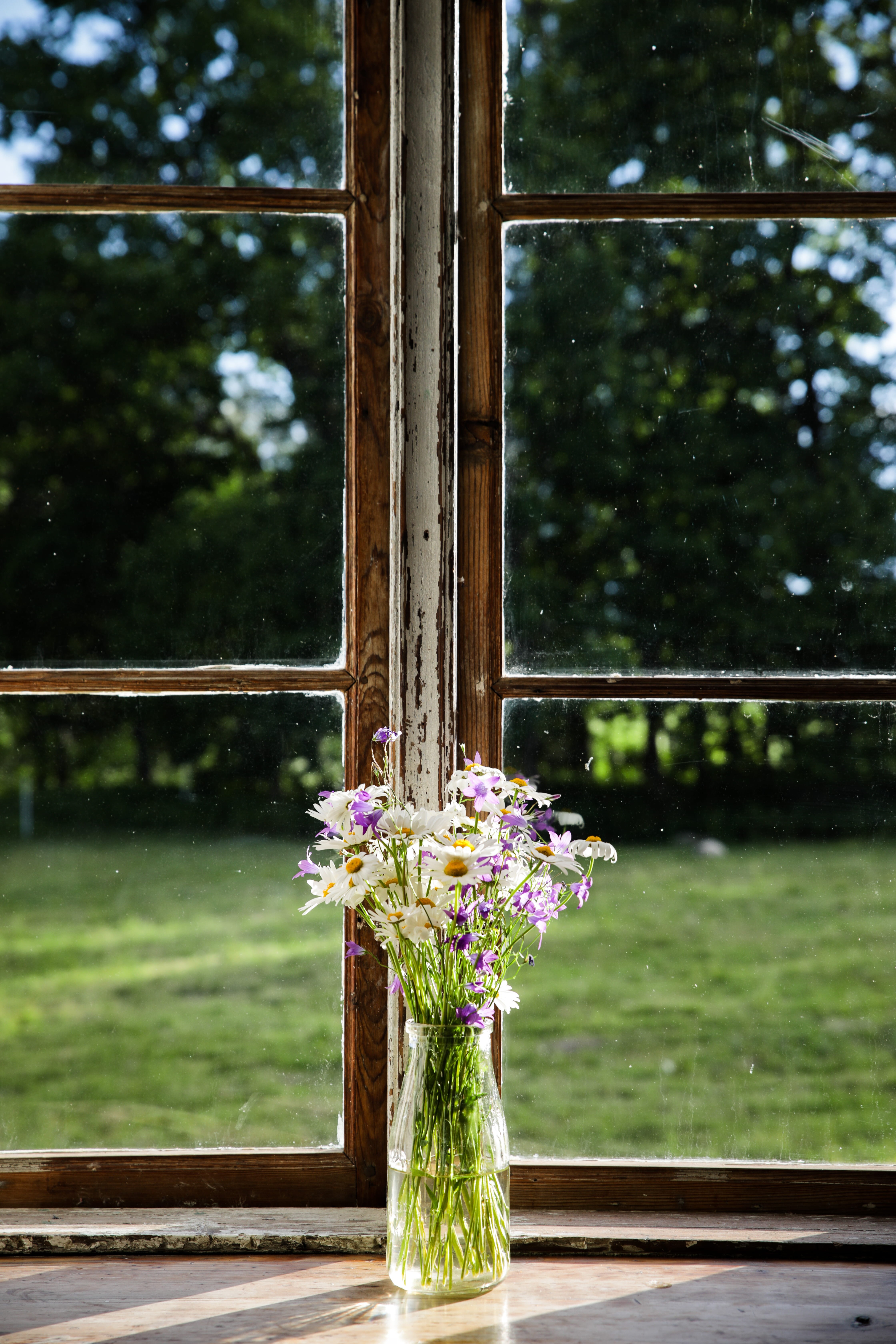 table, purple, flowering plant, 5K, flower bouque, sunshine, estonia, flower arrangement, fields flowers, no people, flowers, focus on foreground, plant, Phone HD Wallpaper