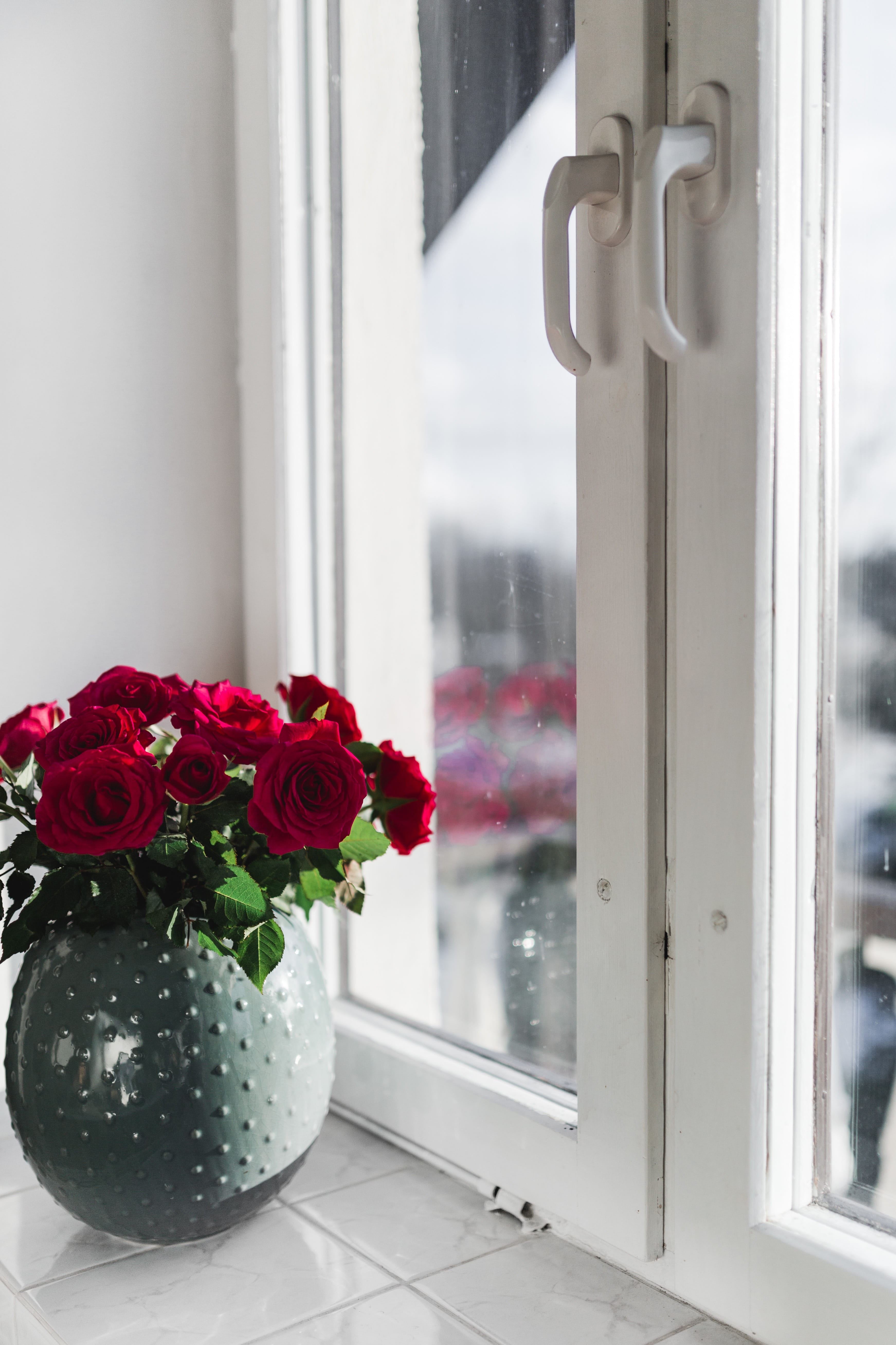 flower, freshness, home decor, gold, window, flower arrangement, close-up, vulnerability, flower pot, 5K, flower head, indoors, coffee, red, flowers, fragility, Phone HD Wallpaper