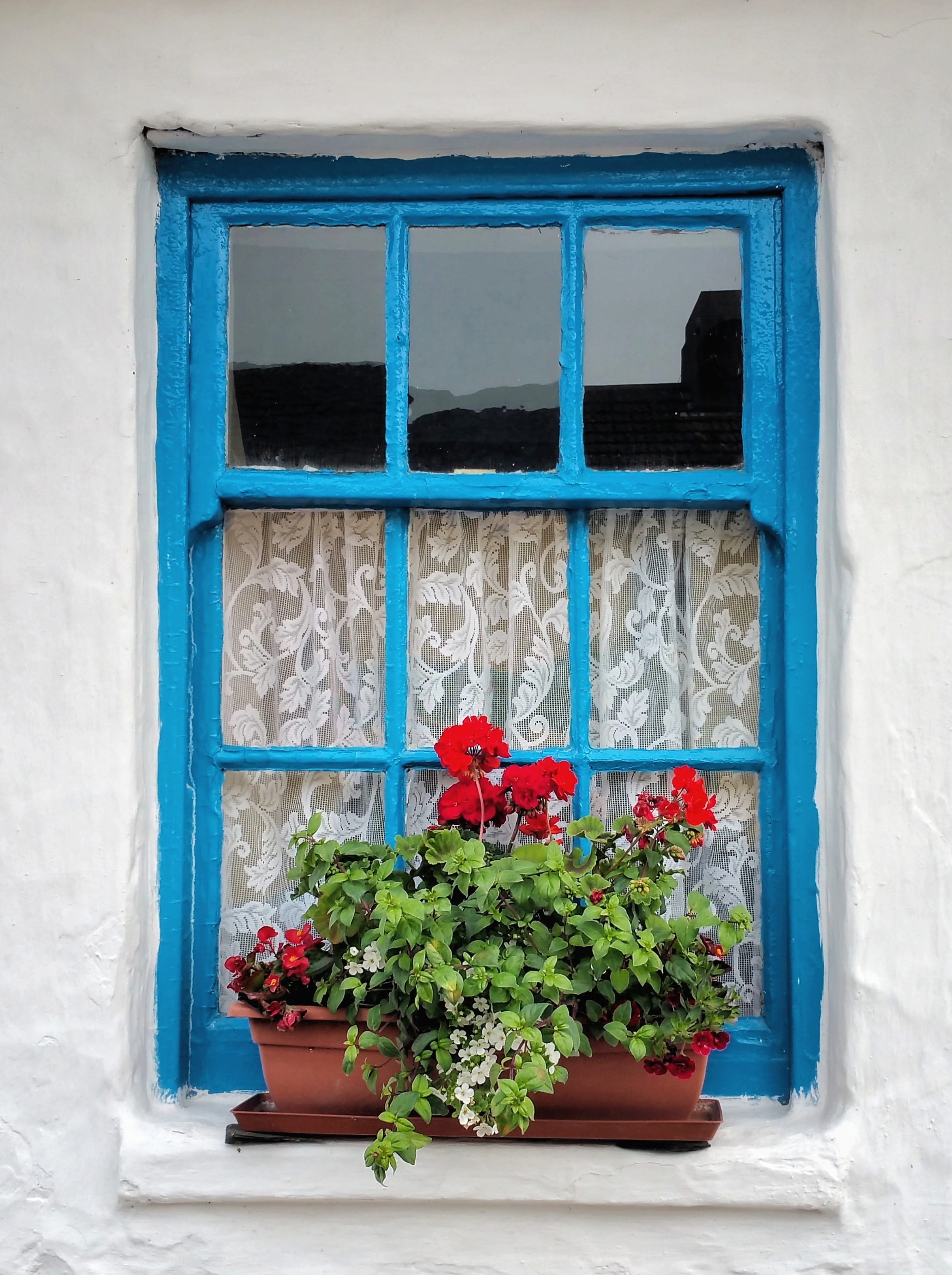 decoration, outdoors, flower pot, potted plant, flower, building, ivy, red, plant, planter, wall - building feature, glass - material, geranium, whitewashed, Phone HD Wallpaper
