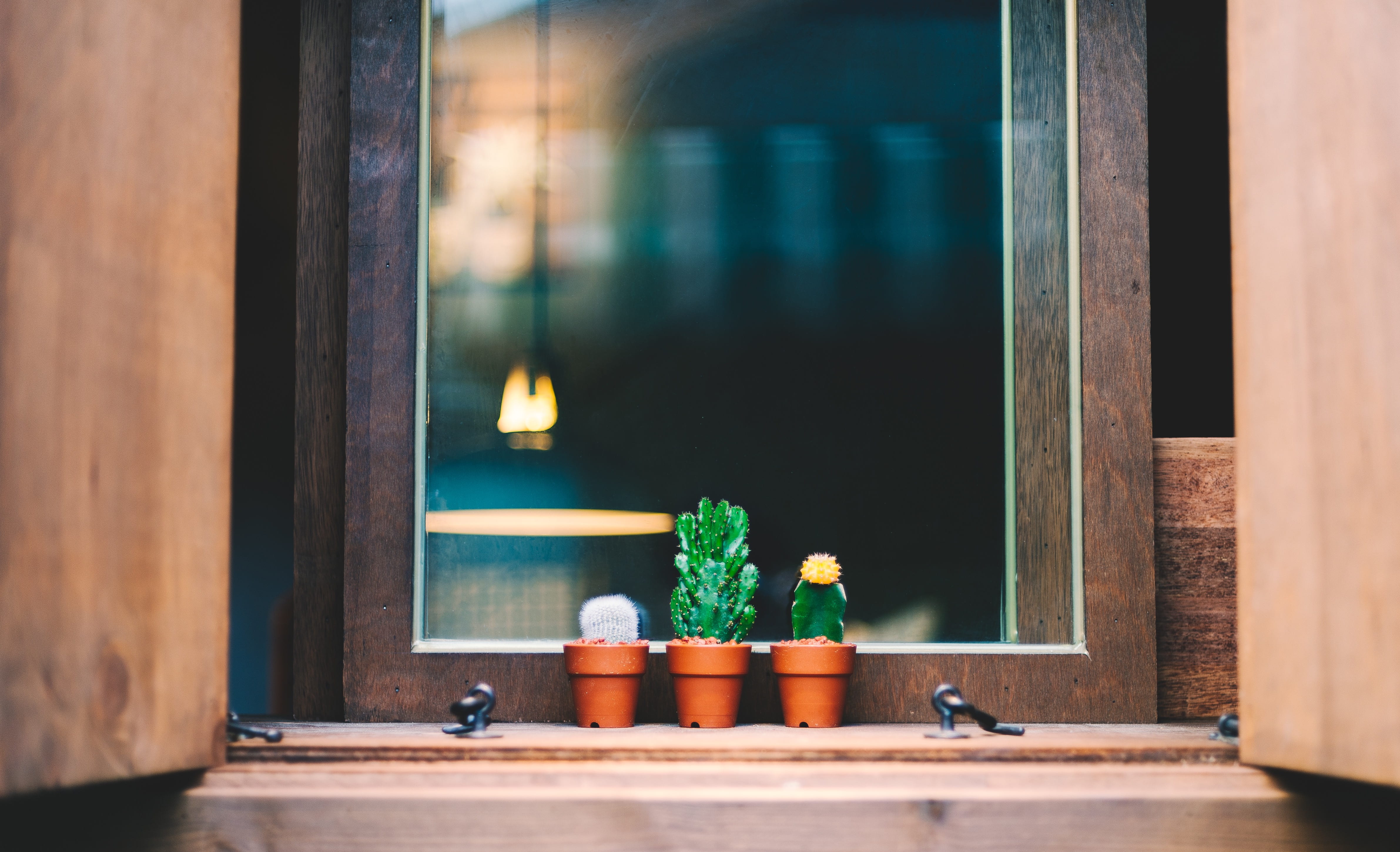 entrance, sill, food, three, frame, pot, plant, planters, door, succulent, food and drink, interior, cuteness, potted plant, focus, tidy, flower pot, clay, HD Wallpaper