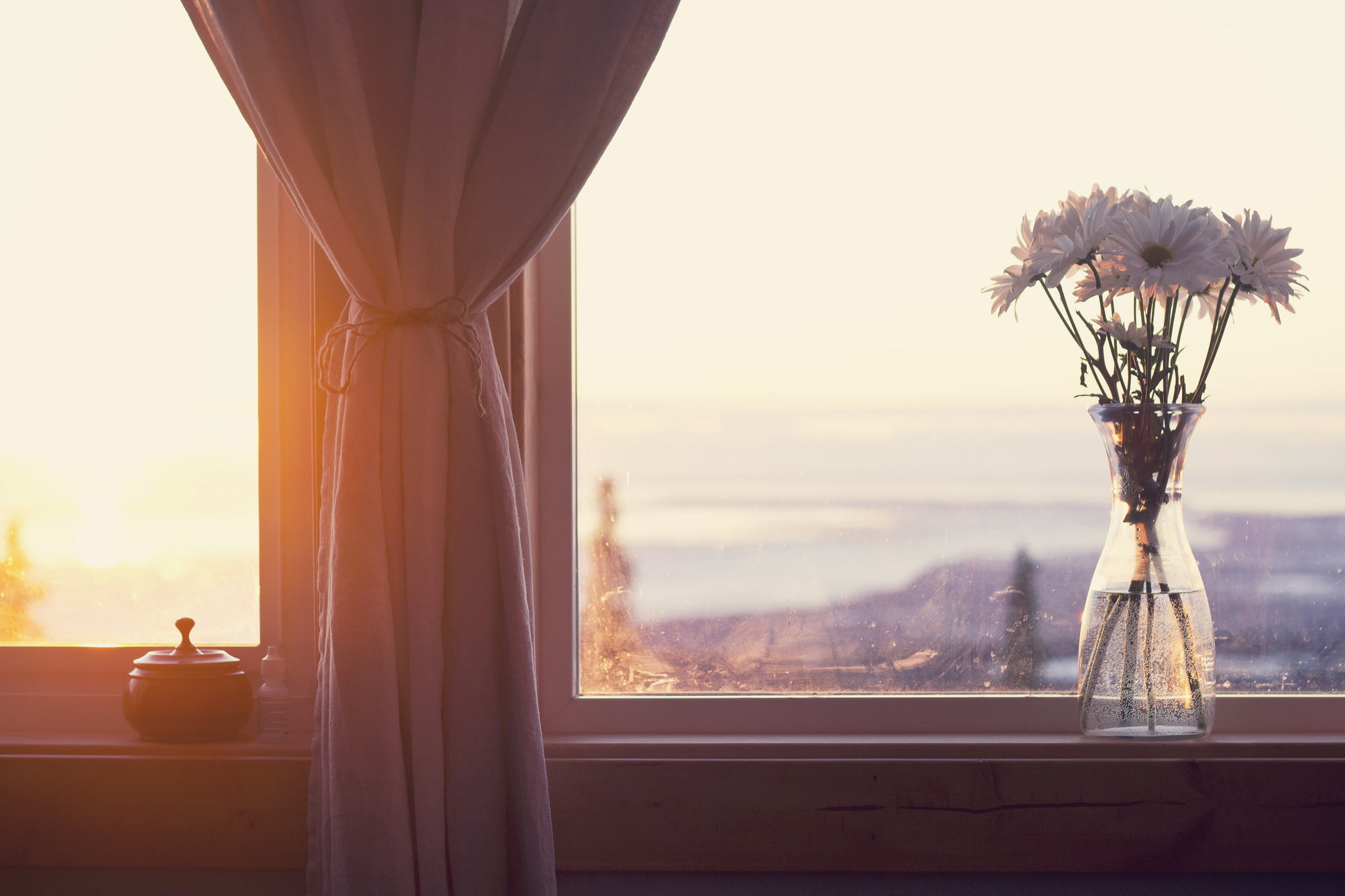 1080P, travel, sill, window, flowering plant, landscape, travel Destinations, sun, vase, balcony, gerbera, white, summer, beauty in nature, arrangement, HD Wallpaper