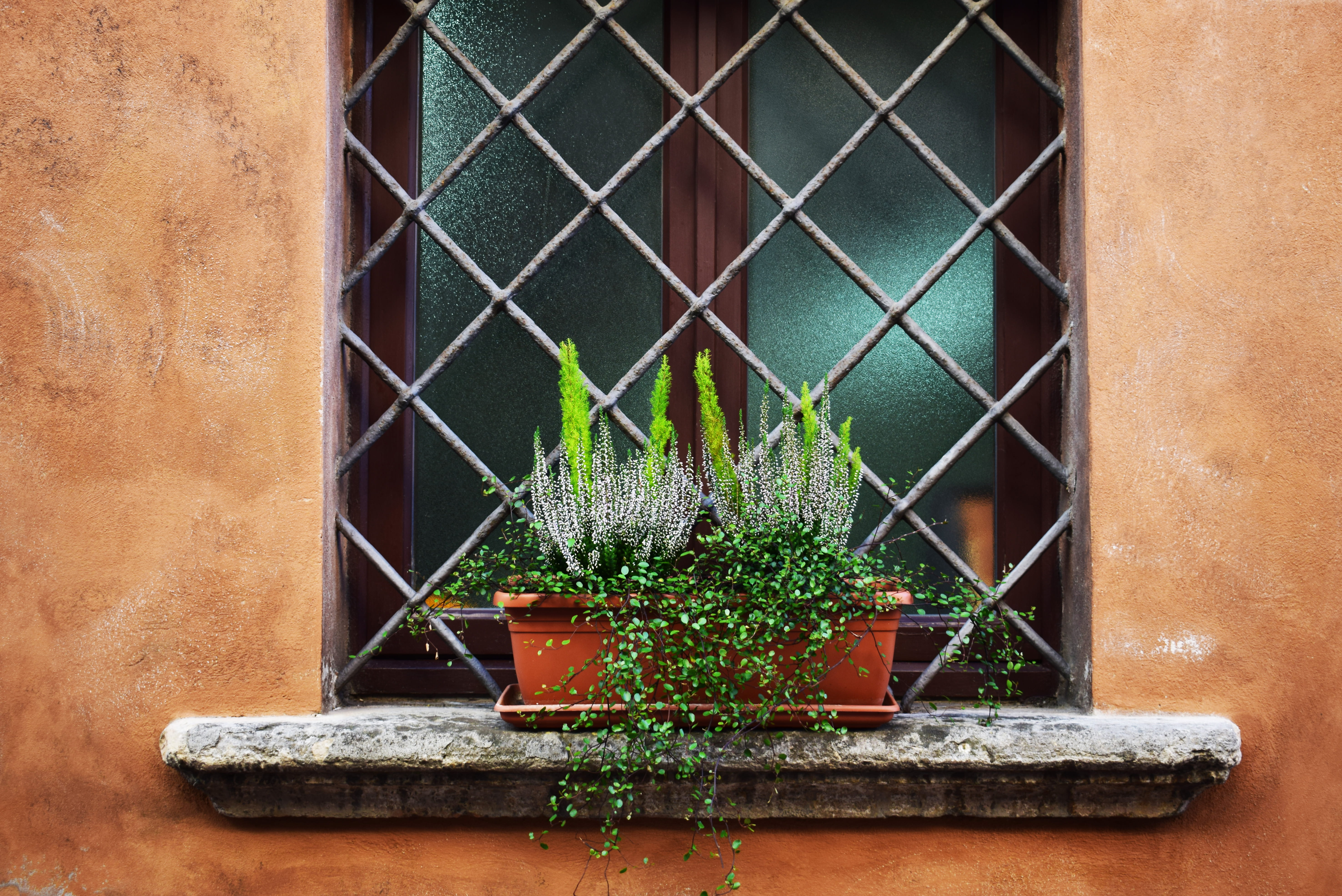 green color, brown, pot, leaf, built structure, metal, window, green, flower pot, shelf, building exterior, potted plant, plants, 5K, nature, building, HD Wallpaper