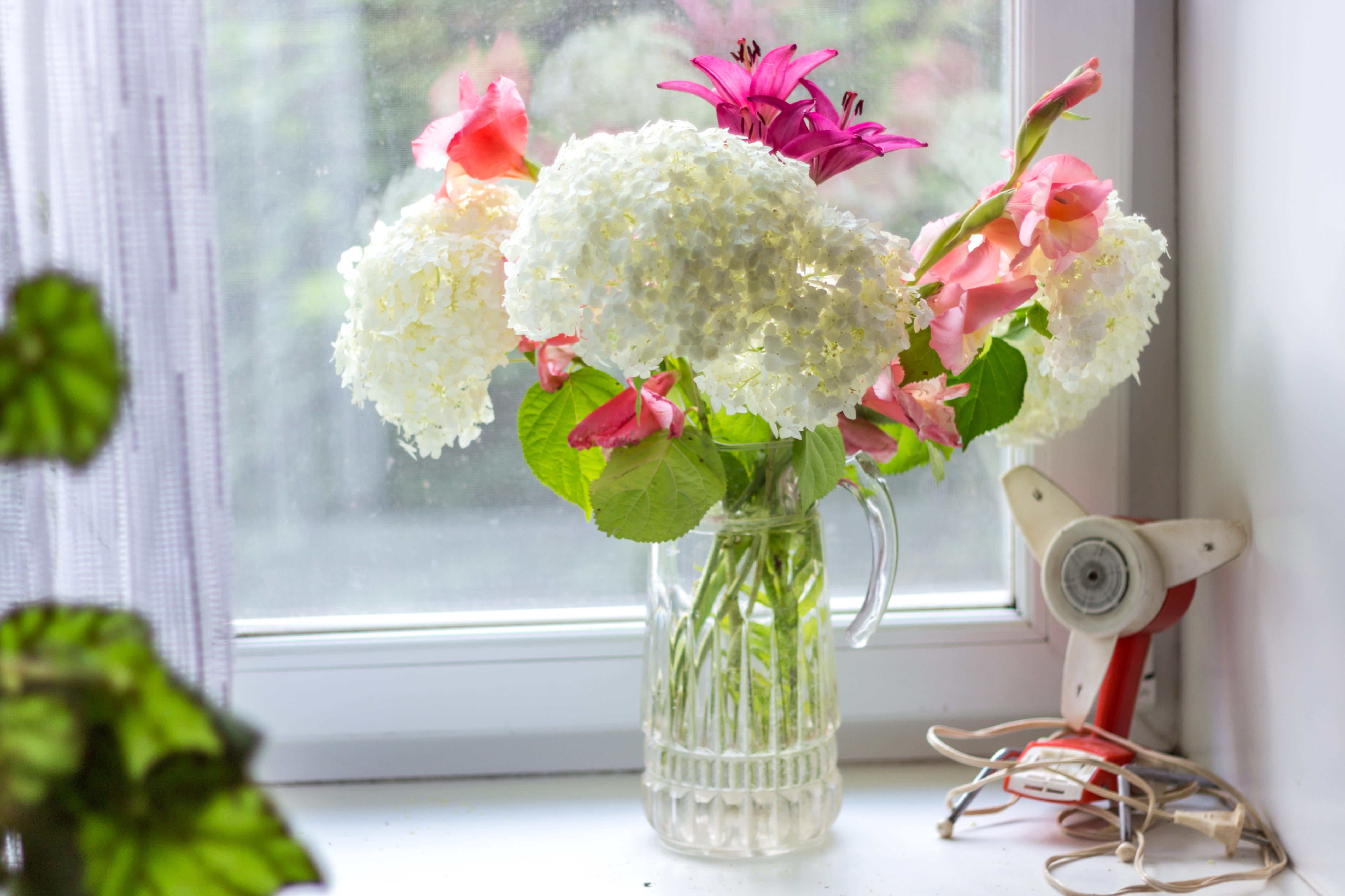 flowers, freshness, indoor, bunch of flowers, flowering plant, day, flower arrangement, rose, window sill, indoors, fresh, 5K, rose - flower, beauty in nature, HD Wallpaper