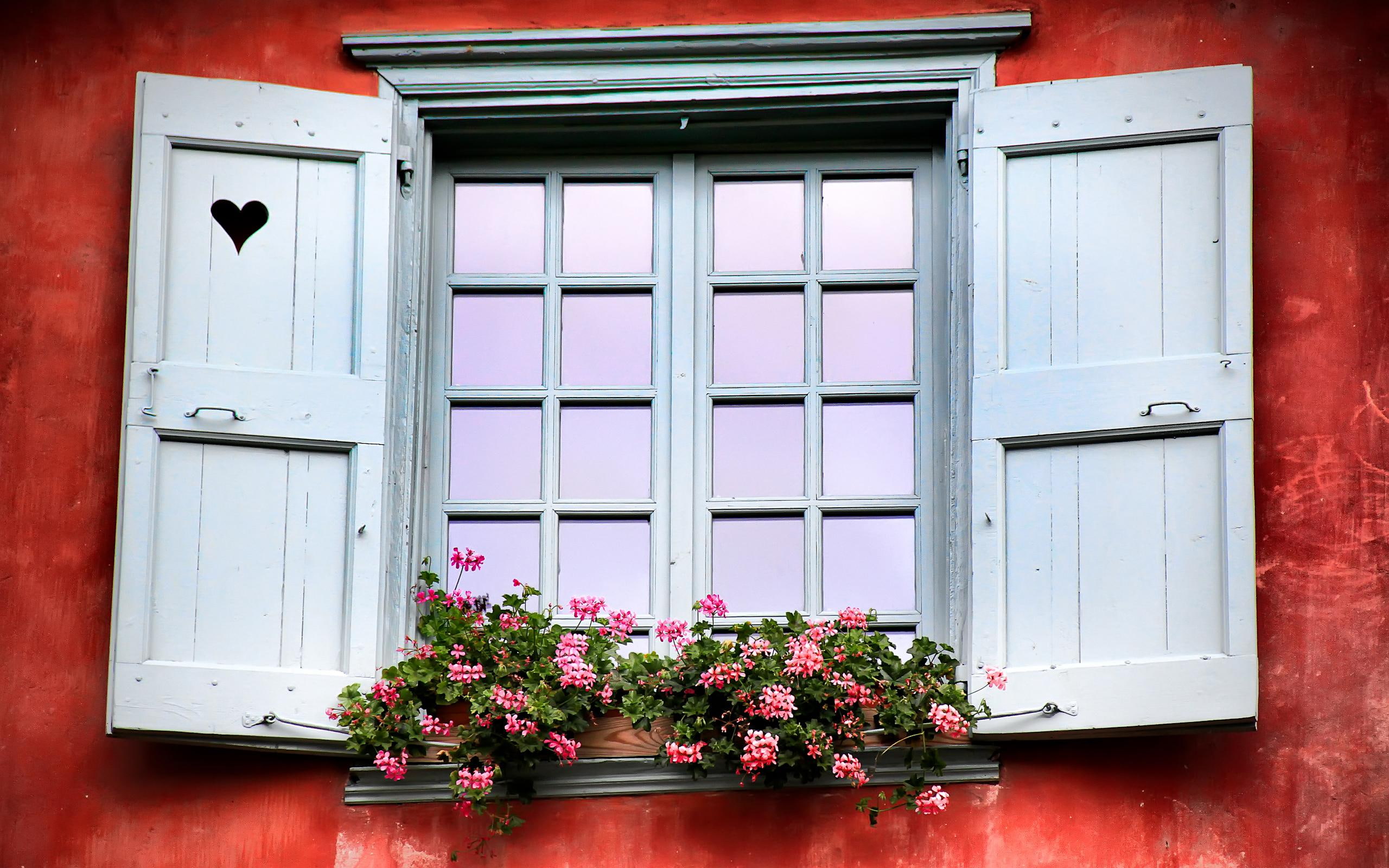 stilllife, box, nature, glass, flowers, pretty, pink, 2K, window, 3d and abstract, heart, beauty, HD Wallpaper