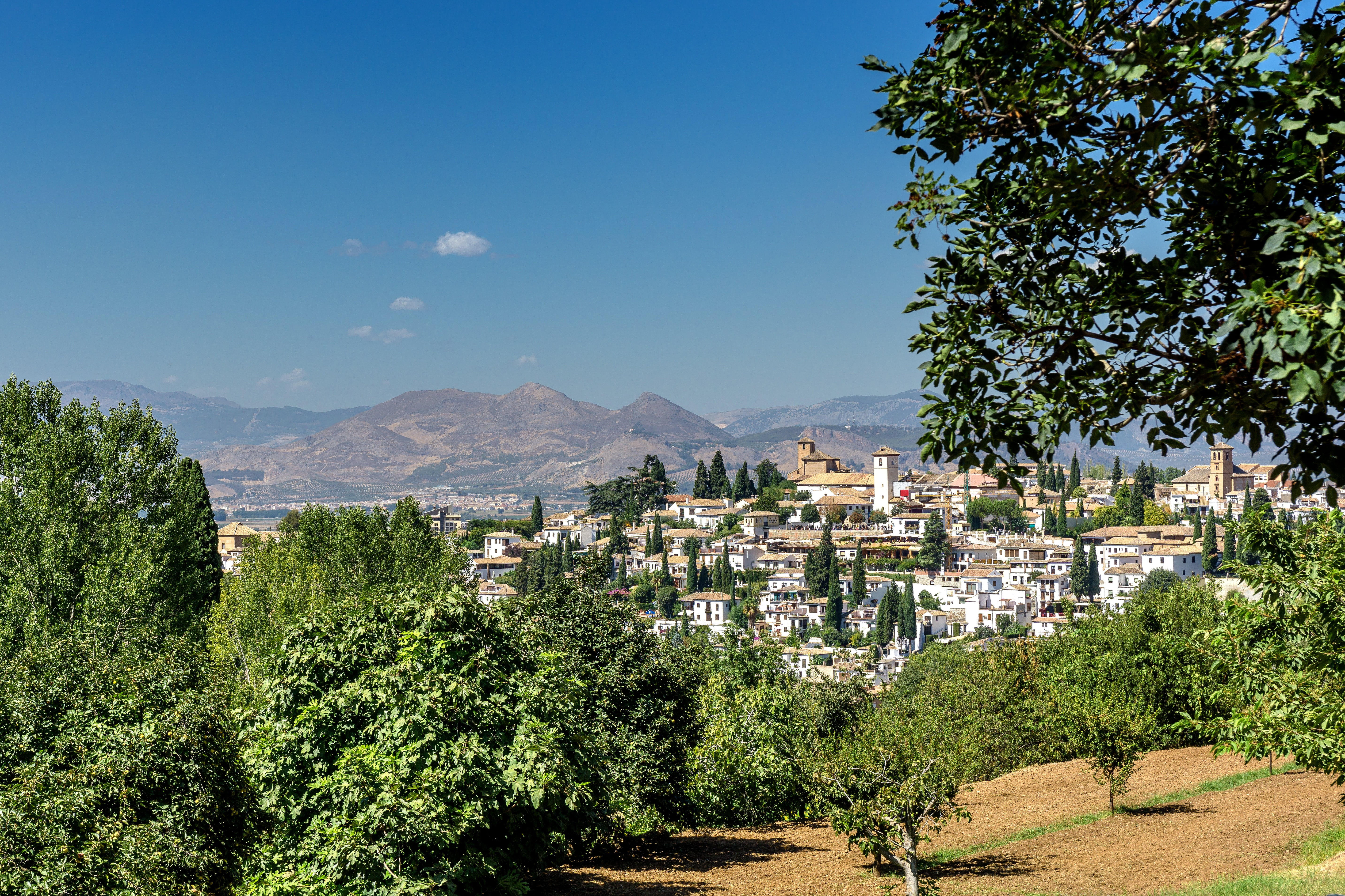 s, mountains, trees, outdoors, day, spain, sun, andalusia, green color, near, travel, nature, building exterior, sky, south, townscape, beauty in nature, HD Wallpaper