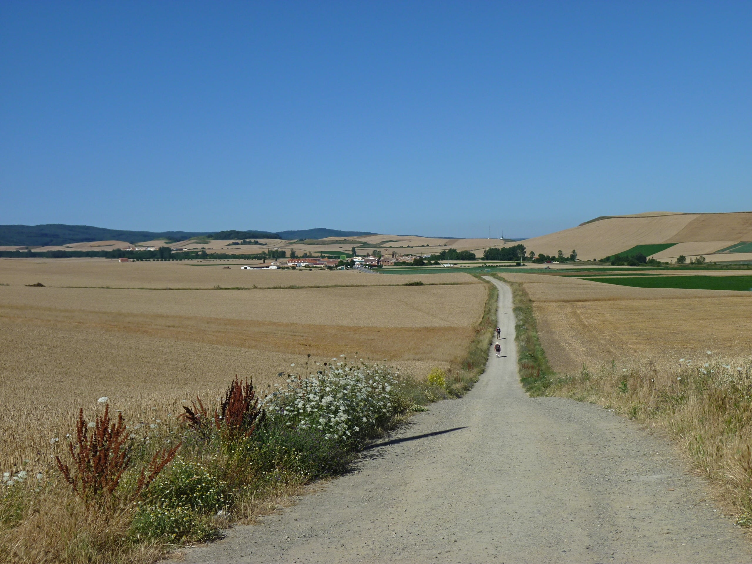 no people, pilgrimage, rural Scene, day, arid climate, desert, land, grass, 2K, tranquil scene, scenics - nature, farm, clear sky, road, gravel road, agriculture, HD Wallpaper
