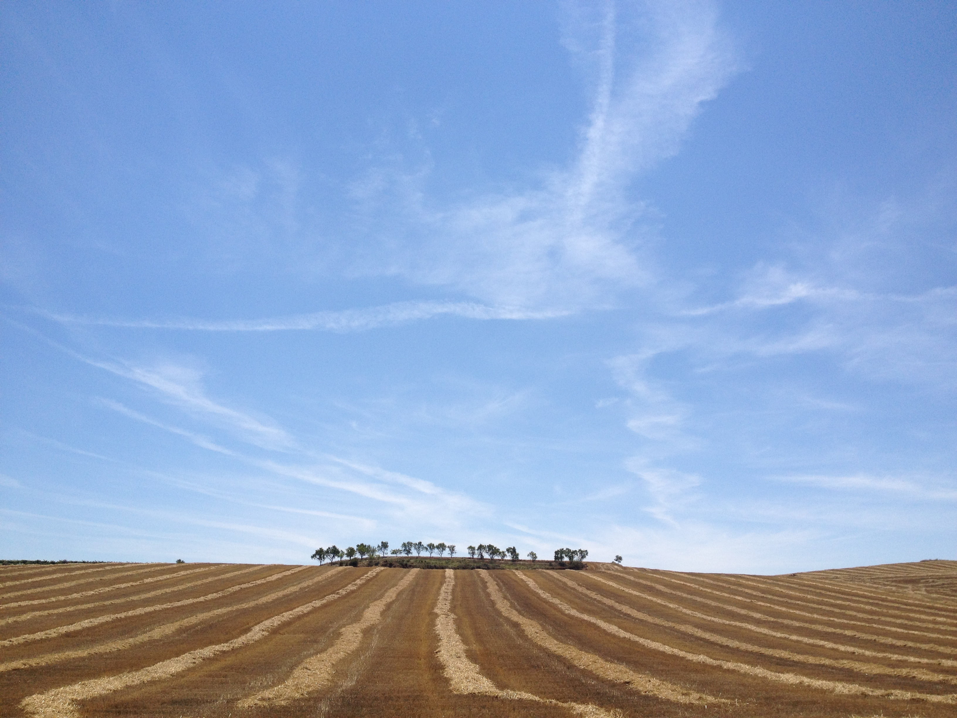 farm, horizon, nature, environment, camino, tranquility, field, day, beauty in nature, rural Scene, summer, agriculture, 2K, sky, horizon over land, outdoors, HD Wallpaper