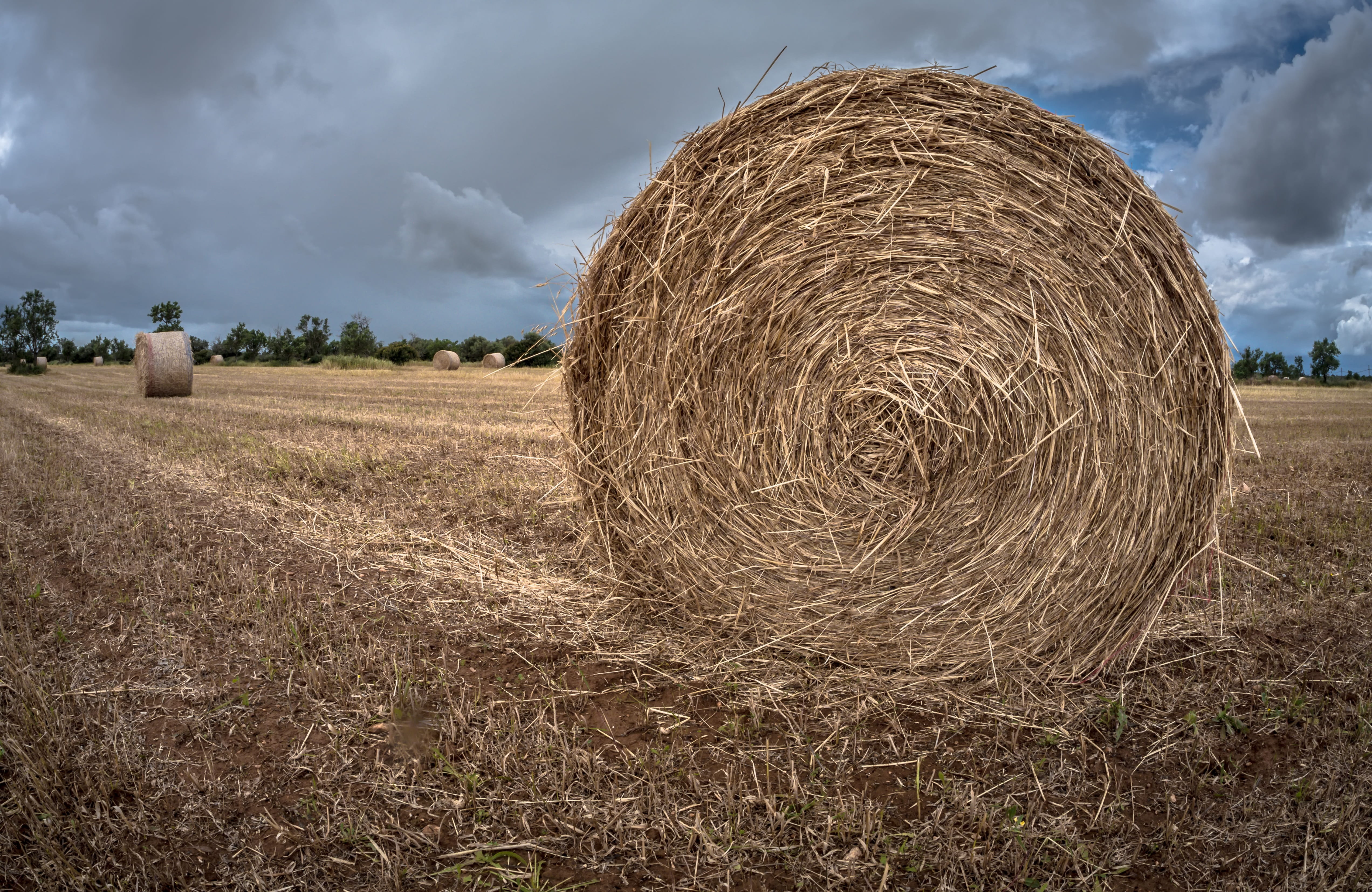 infinity, tranquility, livestock, land, bale, 4K, food, hays, hay, grazing, grass, open air, scenics - nature, rick, rural area, rural scene, spain, harvesting, HD Wallpaper