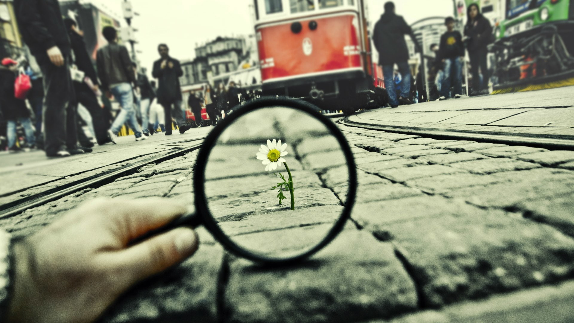 one person, flower, personal perspective, incidental people, black, human body part, the city, architecture, city, 1080P, mode of transportation, road, HD Wallpaper