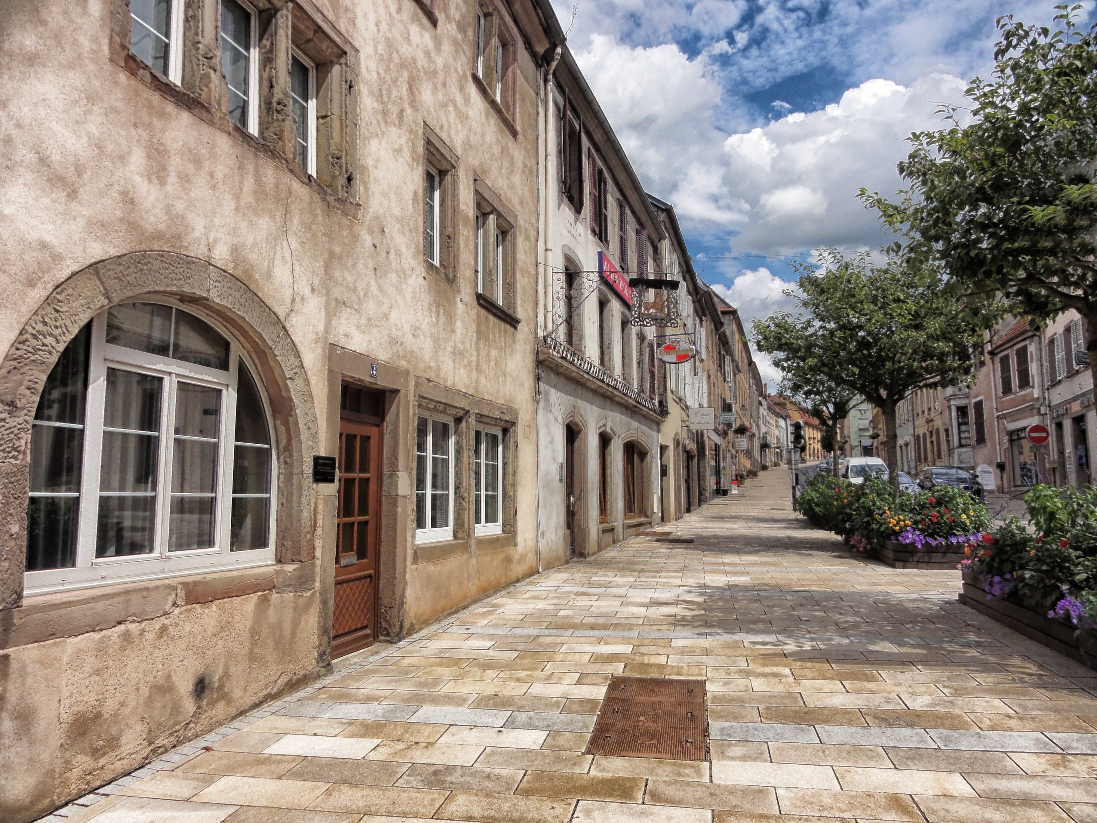 scenic, the way forward, sidewalk, building, street, built structure, france, outside, city, cloud - sky, flowers, plant, concrete, no people, sarre-union, HD Wallpaper
