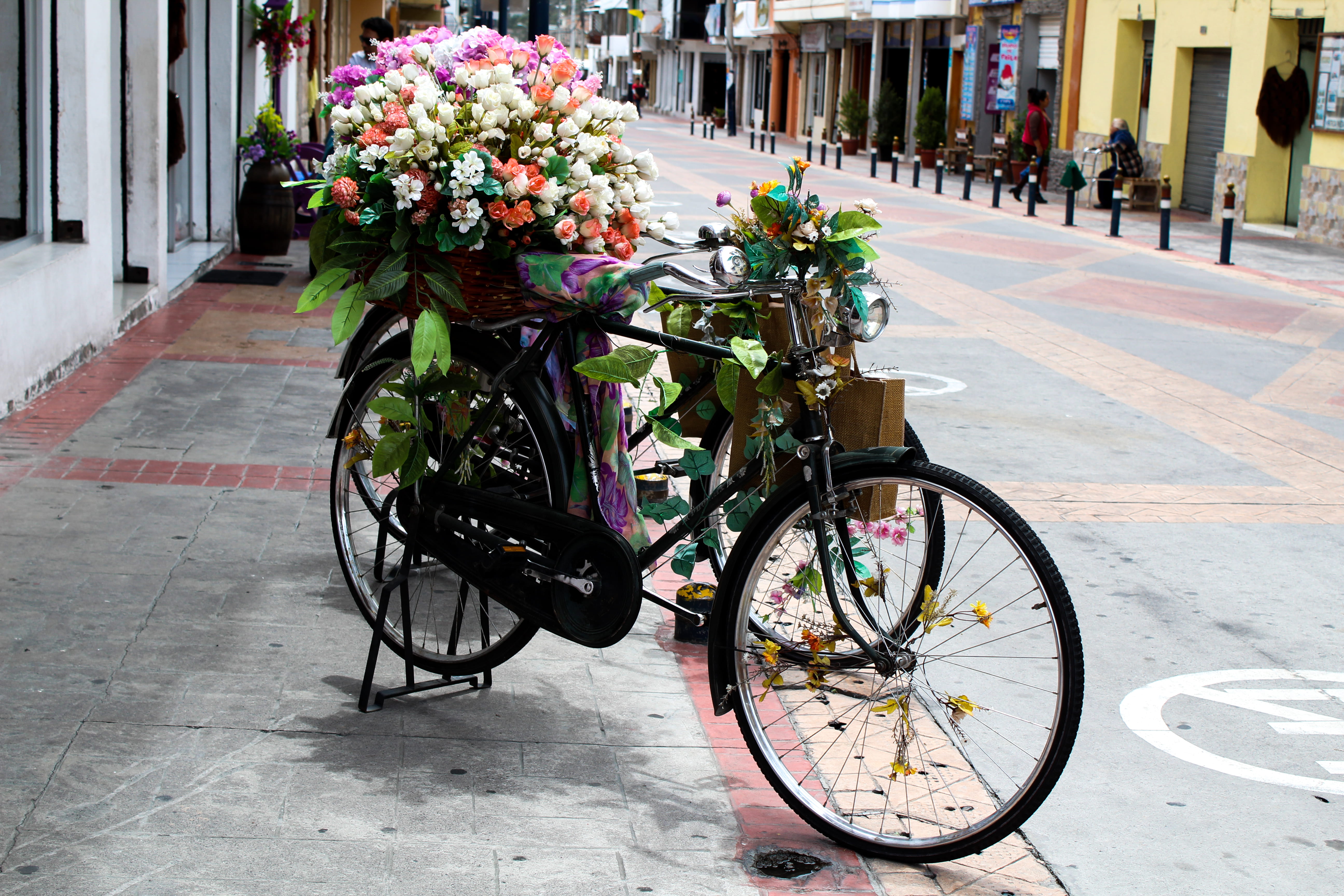 footpath, building exterior, ecuador, cotacachi, outdoors, flower pot, incidental people, sidewalk, transportation, 5K, flower, flowering plant, street, HD Wallpaper