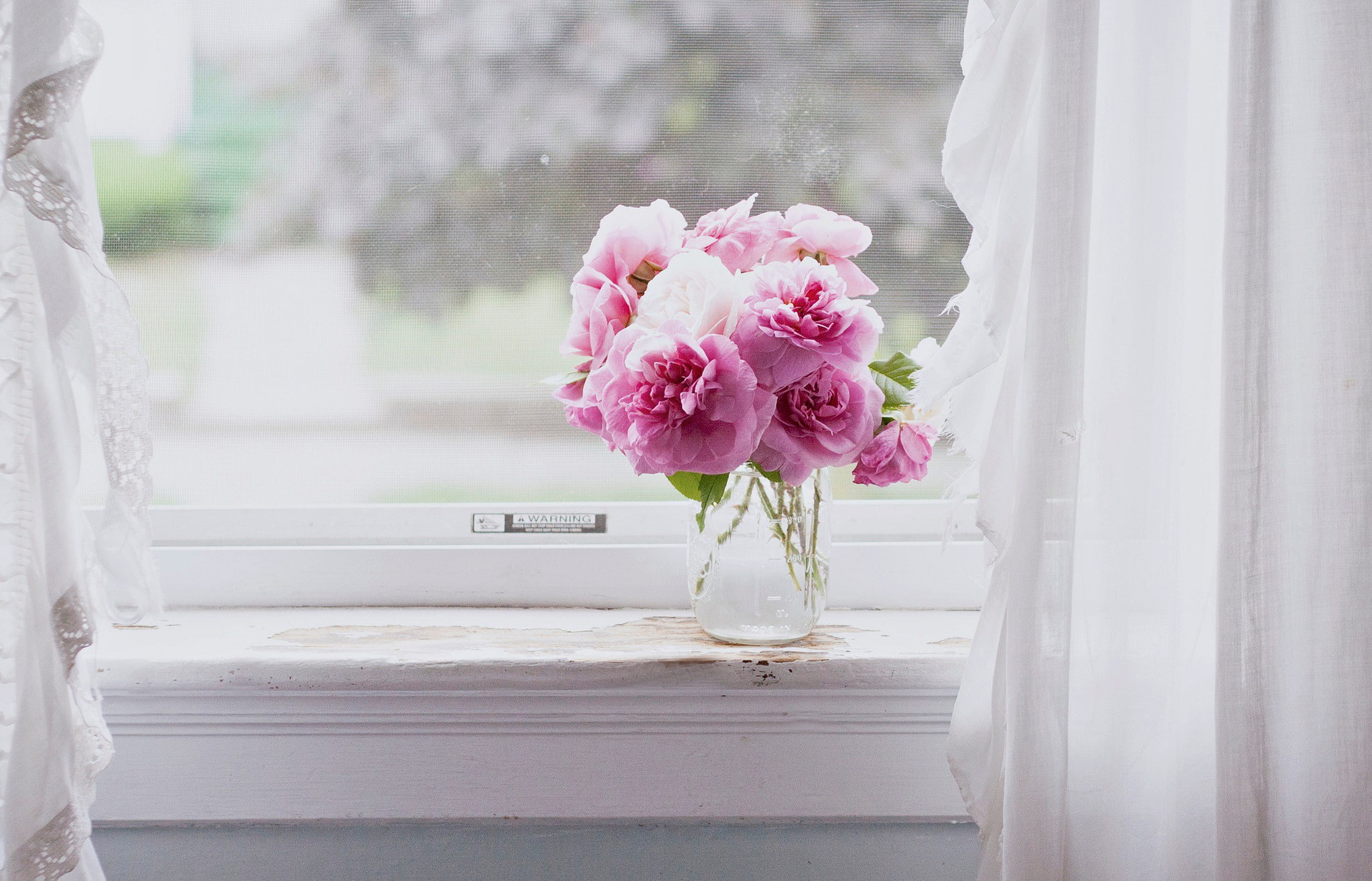 pink flowers, pink, still life, flowers, window, 1080P, HD Wallpaper