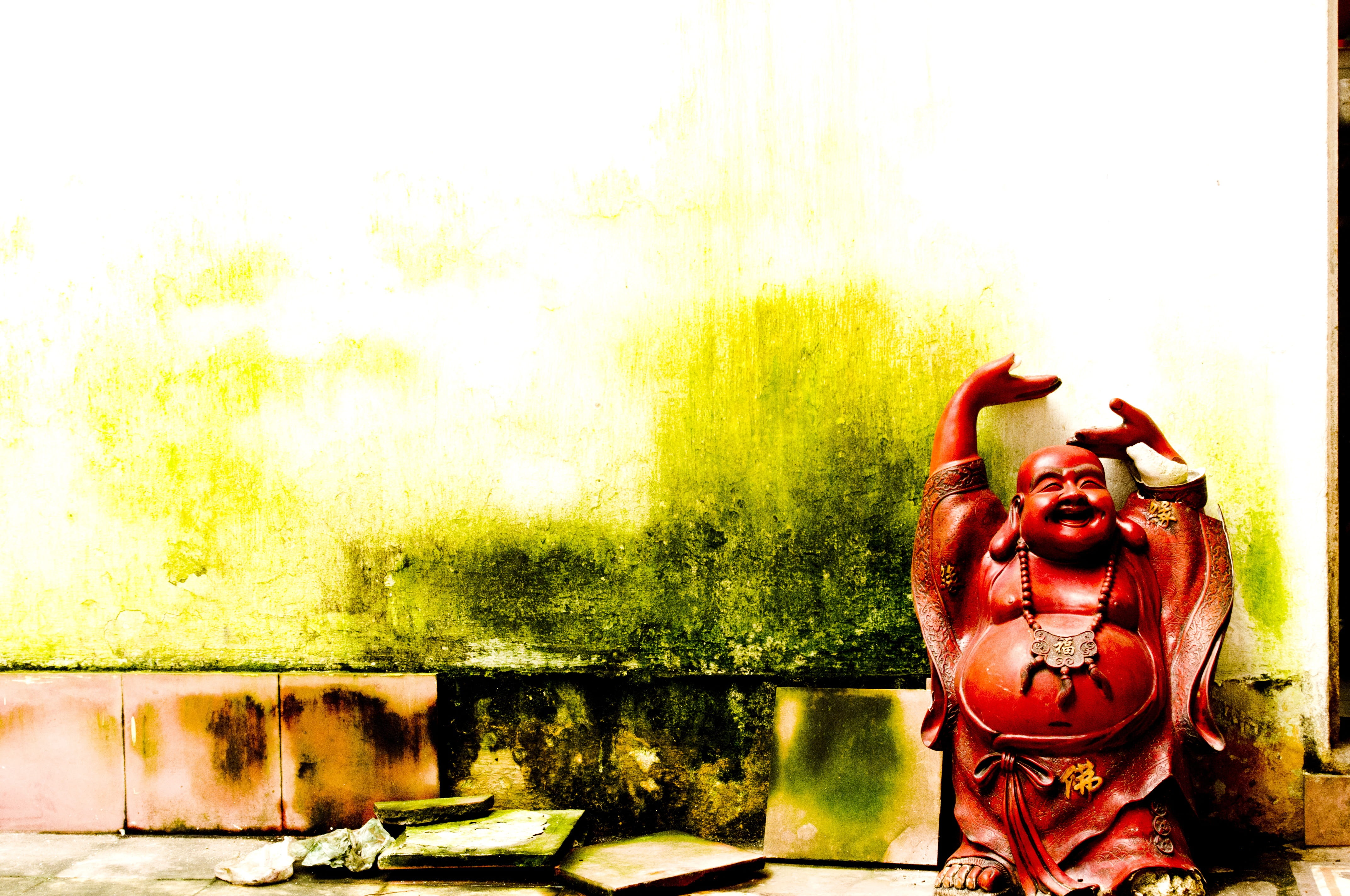 creativity, wall, hoian, building exterior, architecture, vietnam, Buddha, built structure, representation, craft, 4K, growth, human representation, reflection, HD Wallpaper