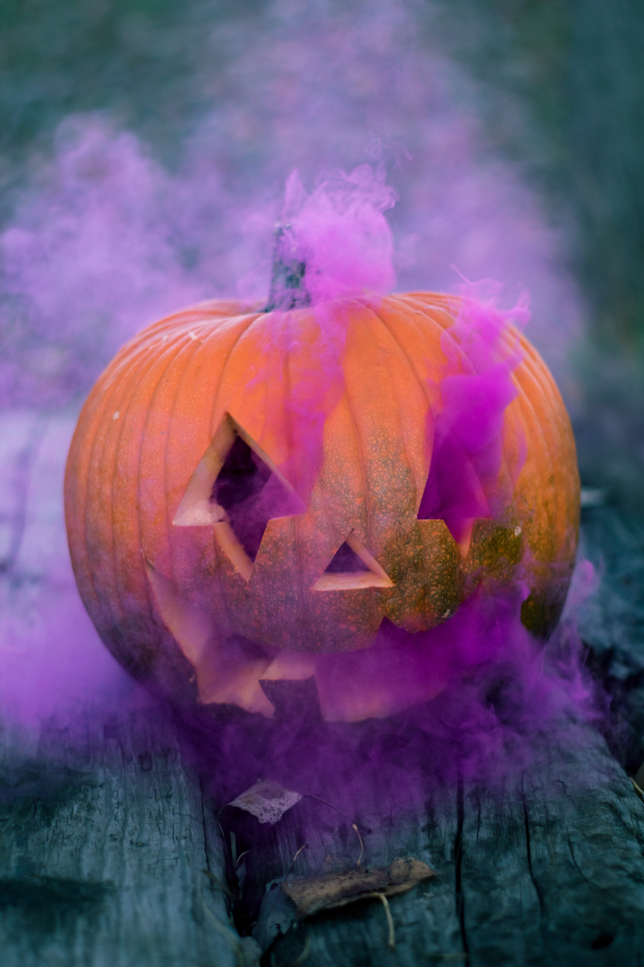 halloween, scary, plant, close-up, focus on foreground, healthy eating, 4K, carved pumpkin, lantern, food, animal, o, creativity, vegetable, eerie, no people, Phone HD Wallpaper