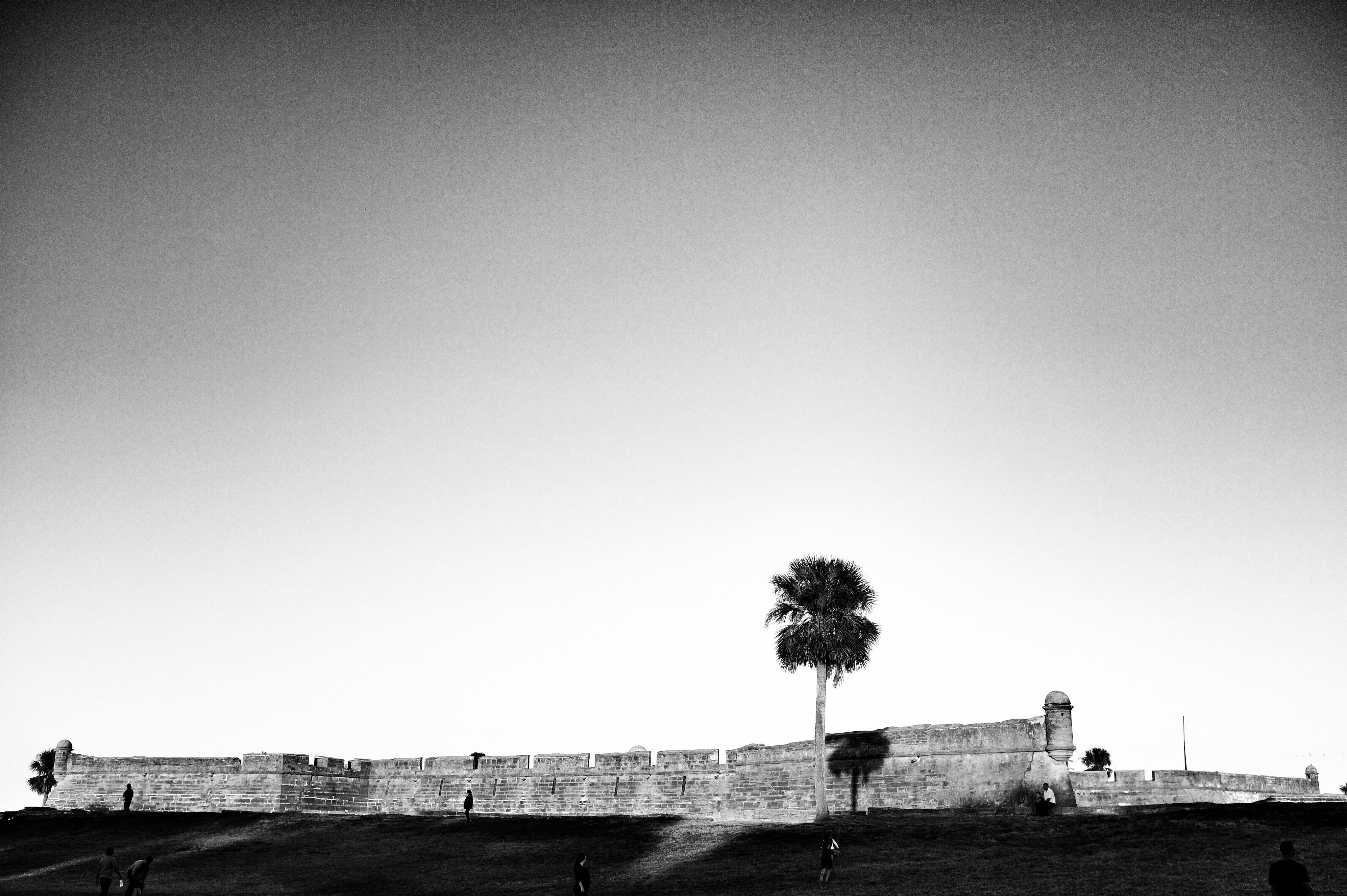 st. augustine, plant, clear sky, tranquility, sky, land, field, day, architecture, building exterior, tropical climate, 4K, tree, no people, landscape, HD Wallpaper