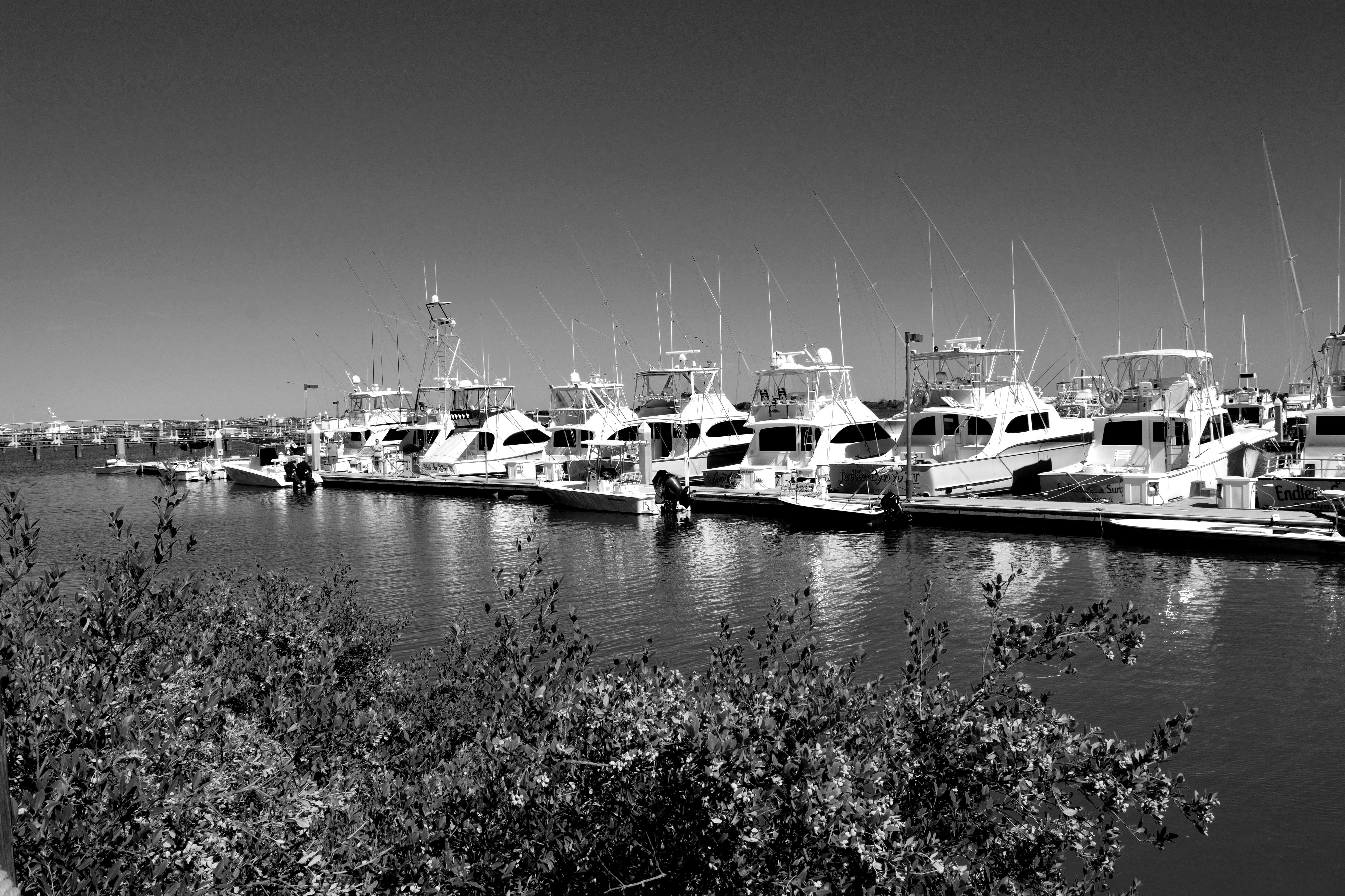 nautical vessel, mode of transportation, boats, transportation, sea, sailboat, maritime, water, copy space, coastline, yacht, marina, moored, boat marina, HD Wallpaper