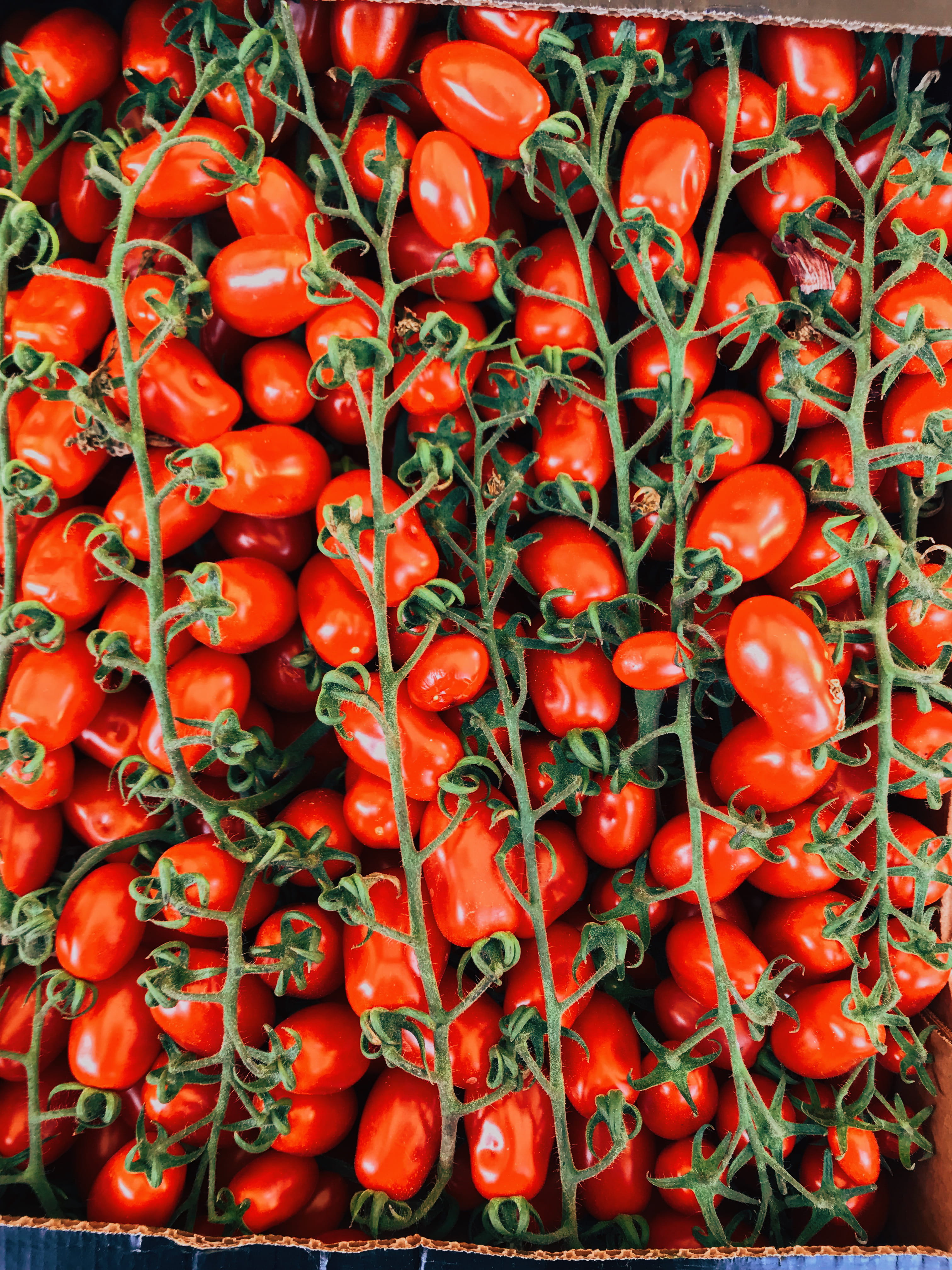 no people, 4K, box, backgrounds, food photography, food and drink, full frame, still life, healthy eating, vegetable, pile, directly above, tomatoes, plant stem, Phone HD Wallpaper