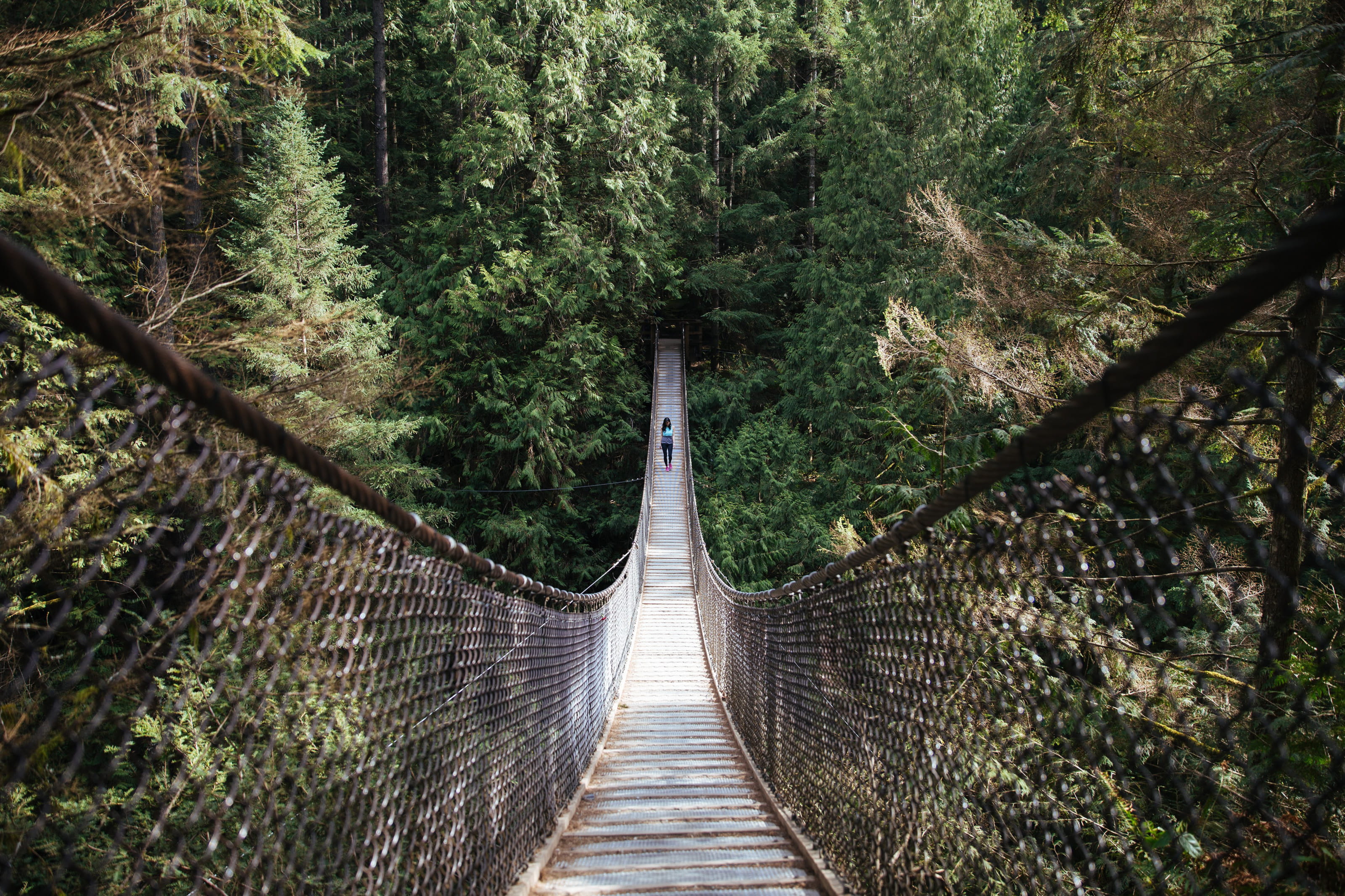 architecture, tree, railing, person, summer, travel, walking, diminishing perspective, 2K, young, landscape, built structure, no people, bridge - man made structure, HD Wallpaper