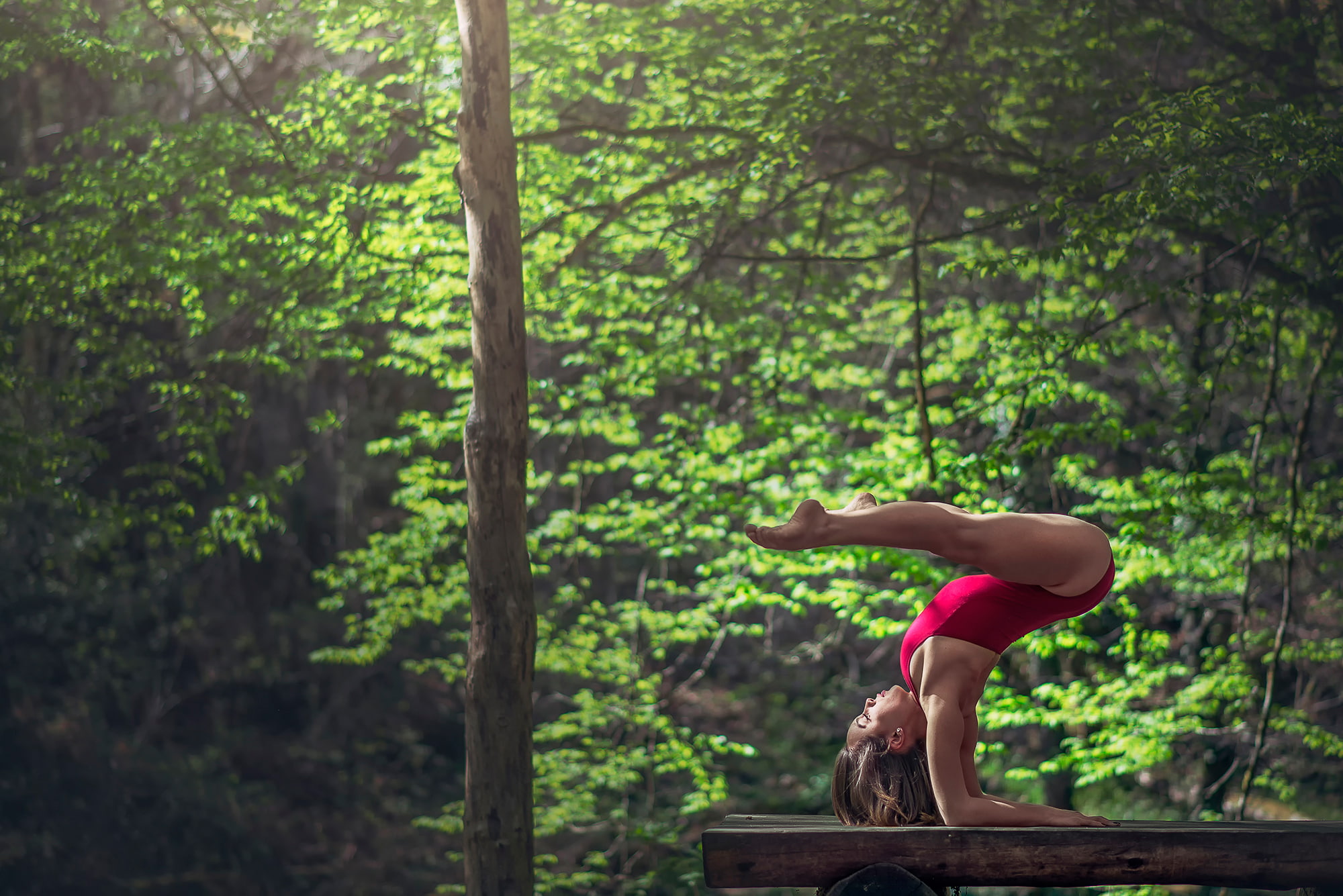 log, grace, 1080P, gymnast, Marie-Lou Lagrange, exercise, HD Wallpaper