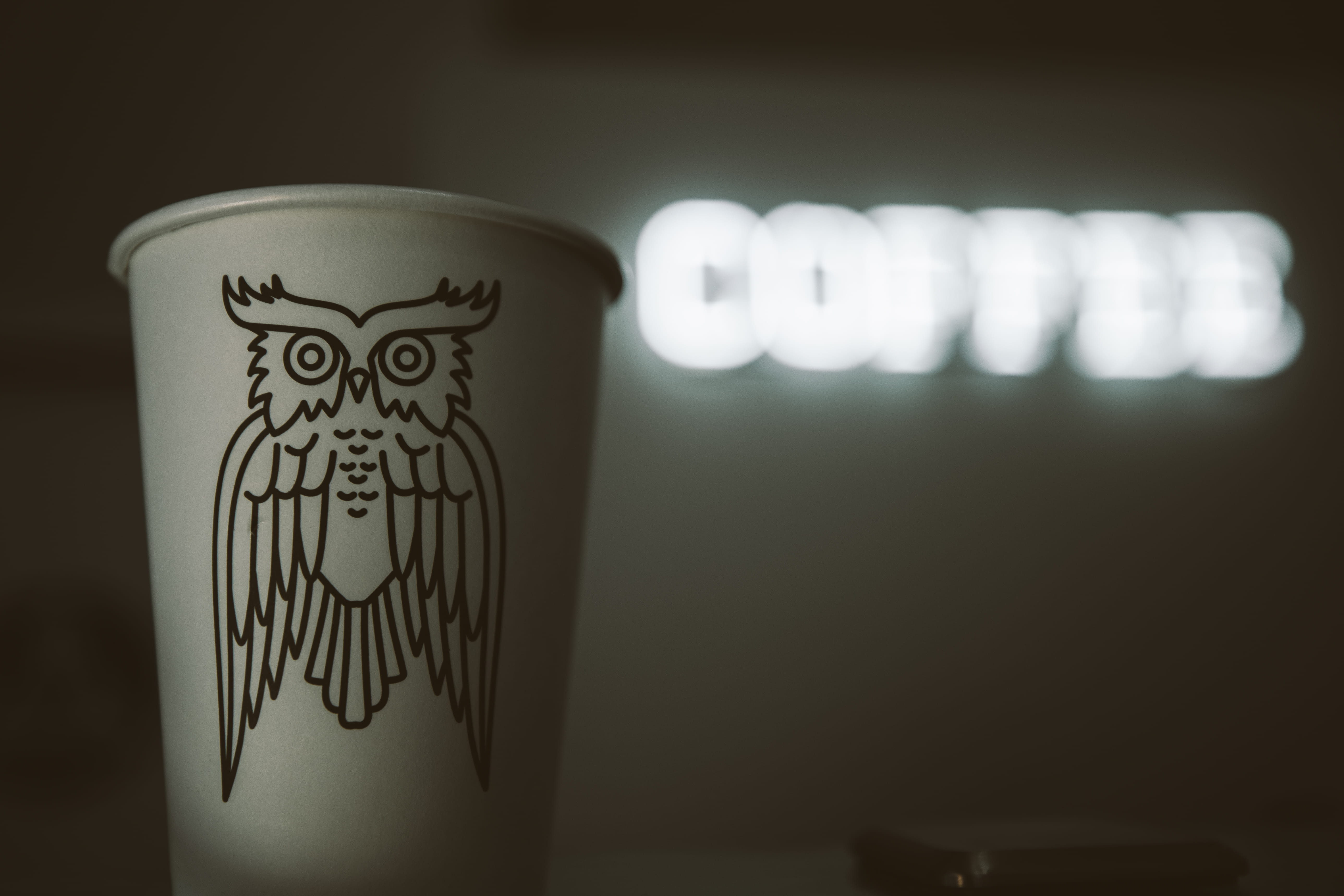 coffee, text, focus on foreground, pattern, floral pattern, design, creativity, spooky, united states, indoors, coffee sign, illuminated, western script, HD Wallpaper
