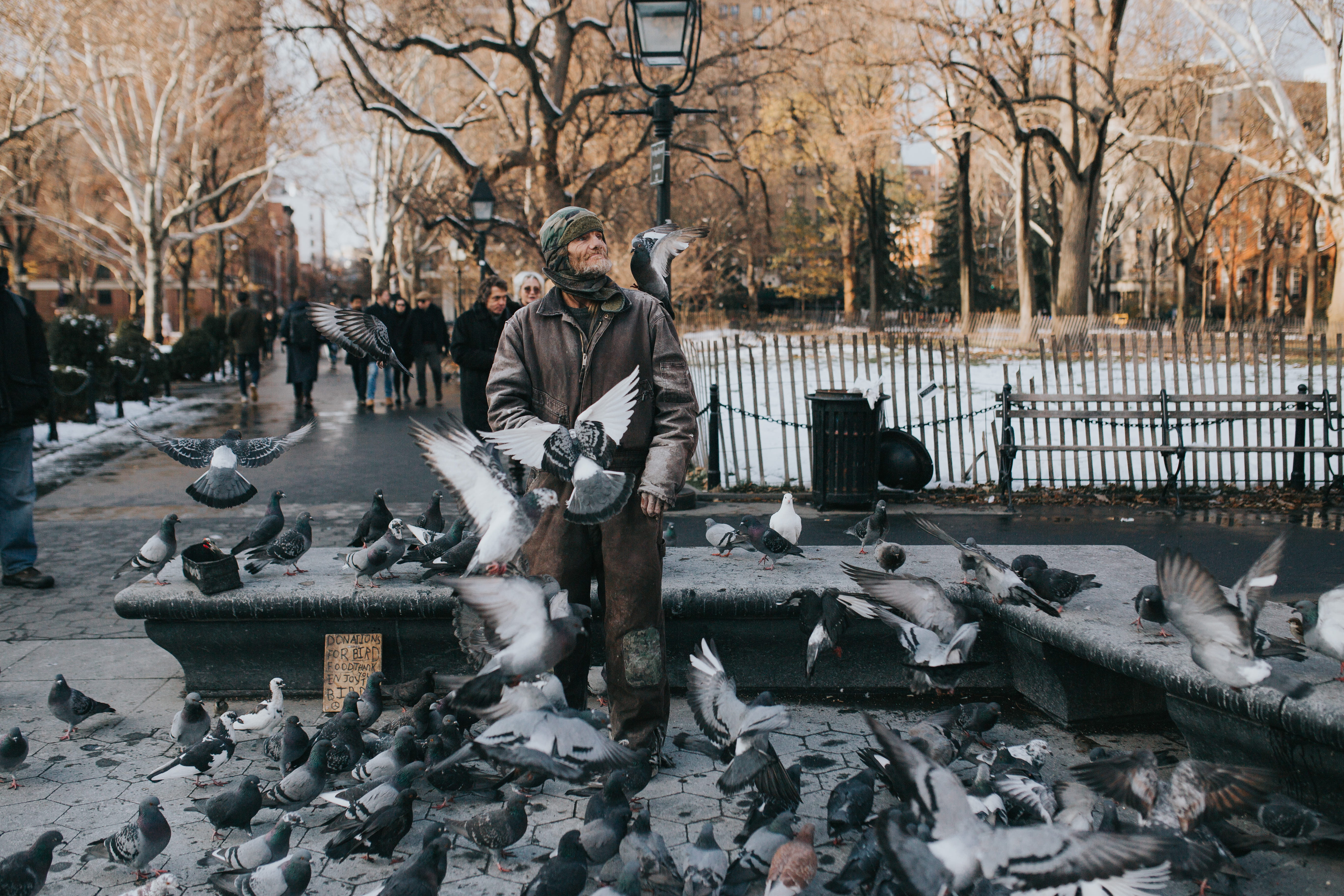 surrounded, vertebrate, day, bare tree, animal, cold temperature, homeless, real people, arch, candid, group of animals, birds, bird, men, greenwich, river, HD Wallpaper