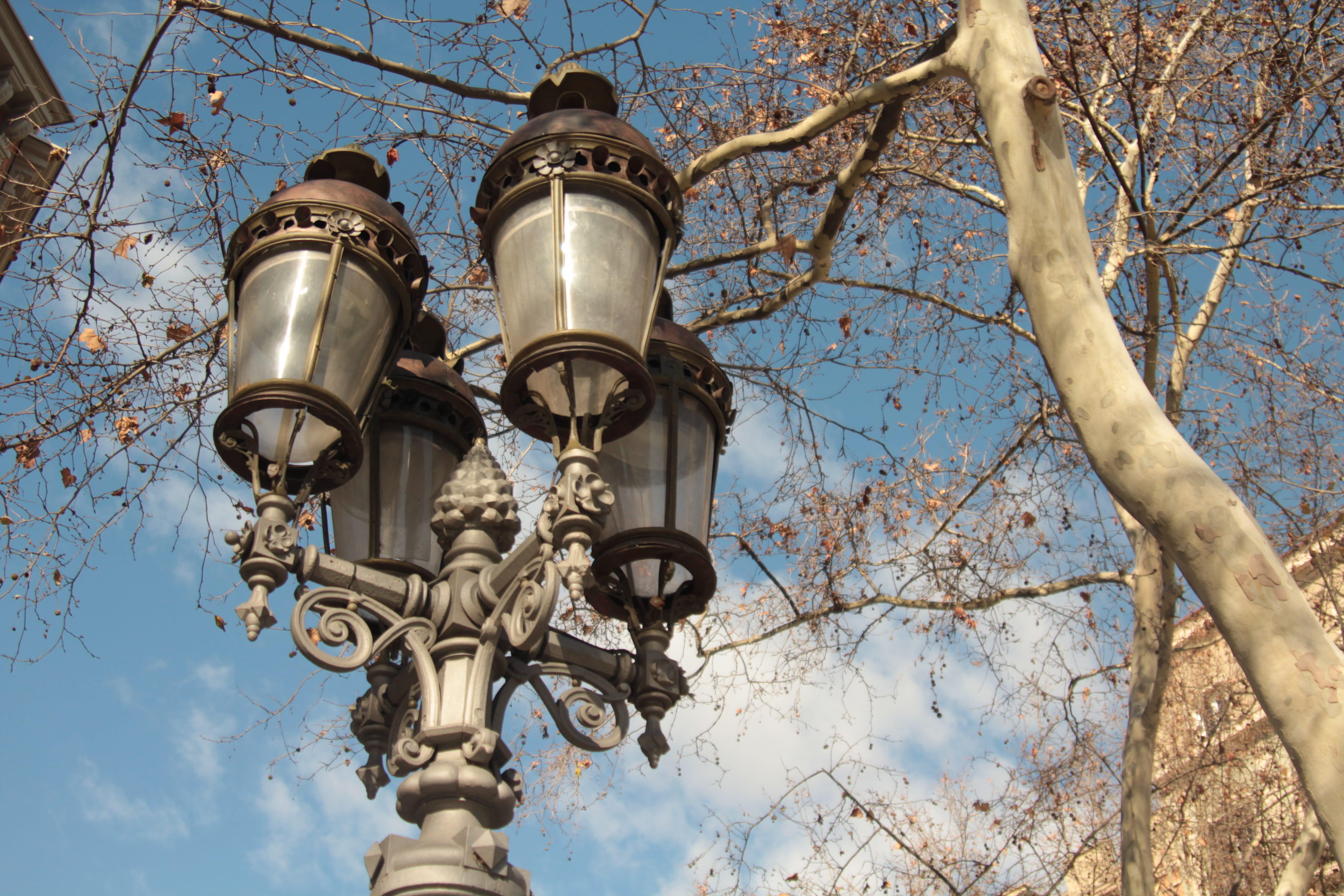 spain, sky, urbanscape, barcelona, blue, built structure, streeet, architecture, lamp, low angle view, nature, plant, day, ornate, building exterior, 5K, HD Wallpaper