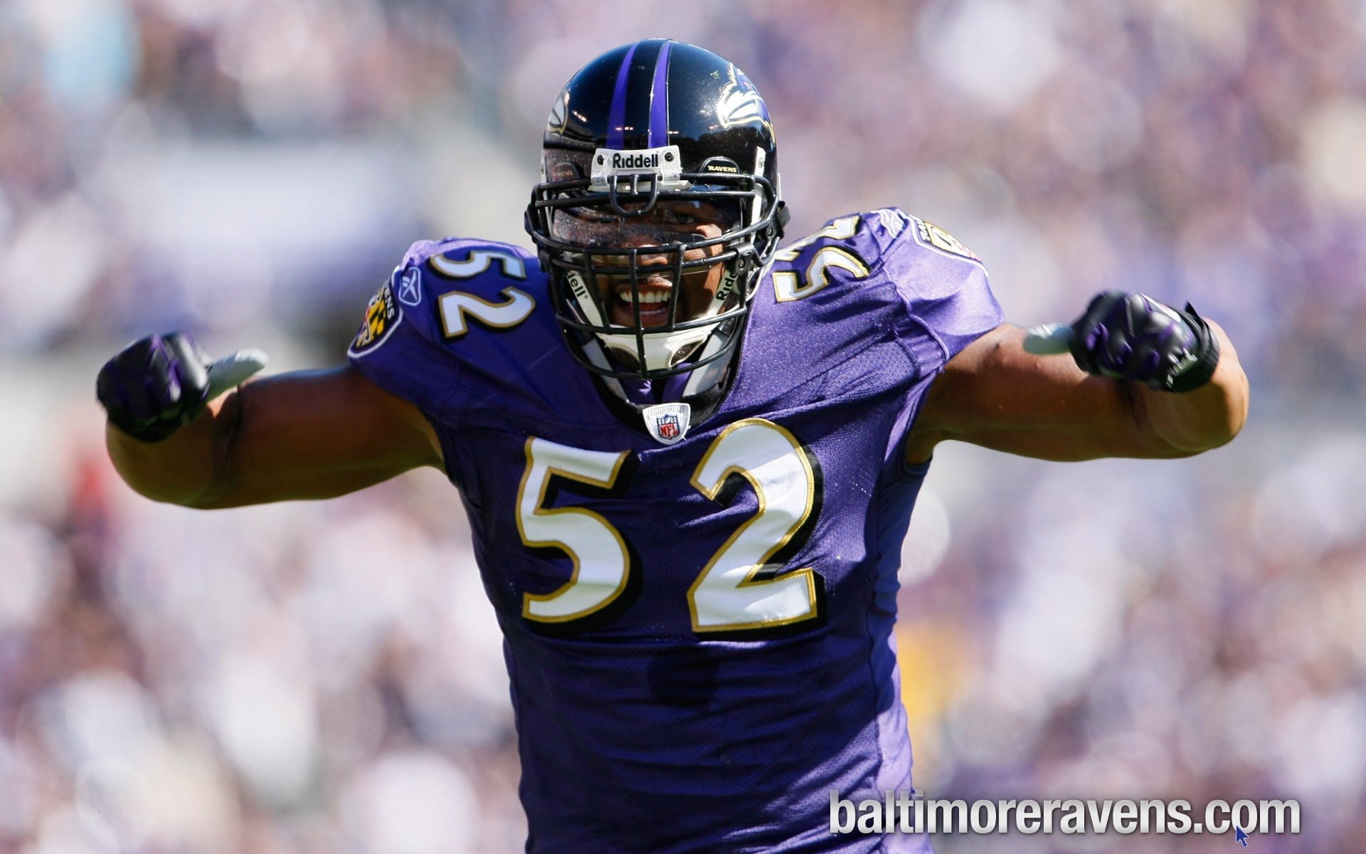 Baltimore Ravens, 1080P, Ray Lewis, NFL, HD Wallpaper