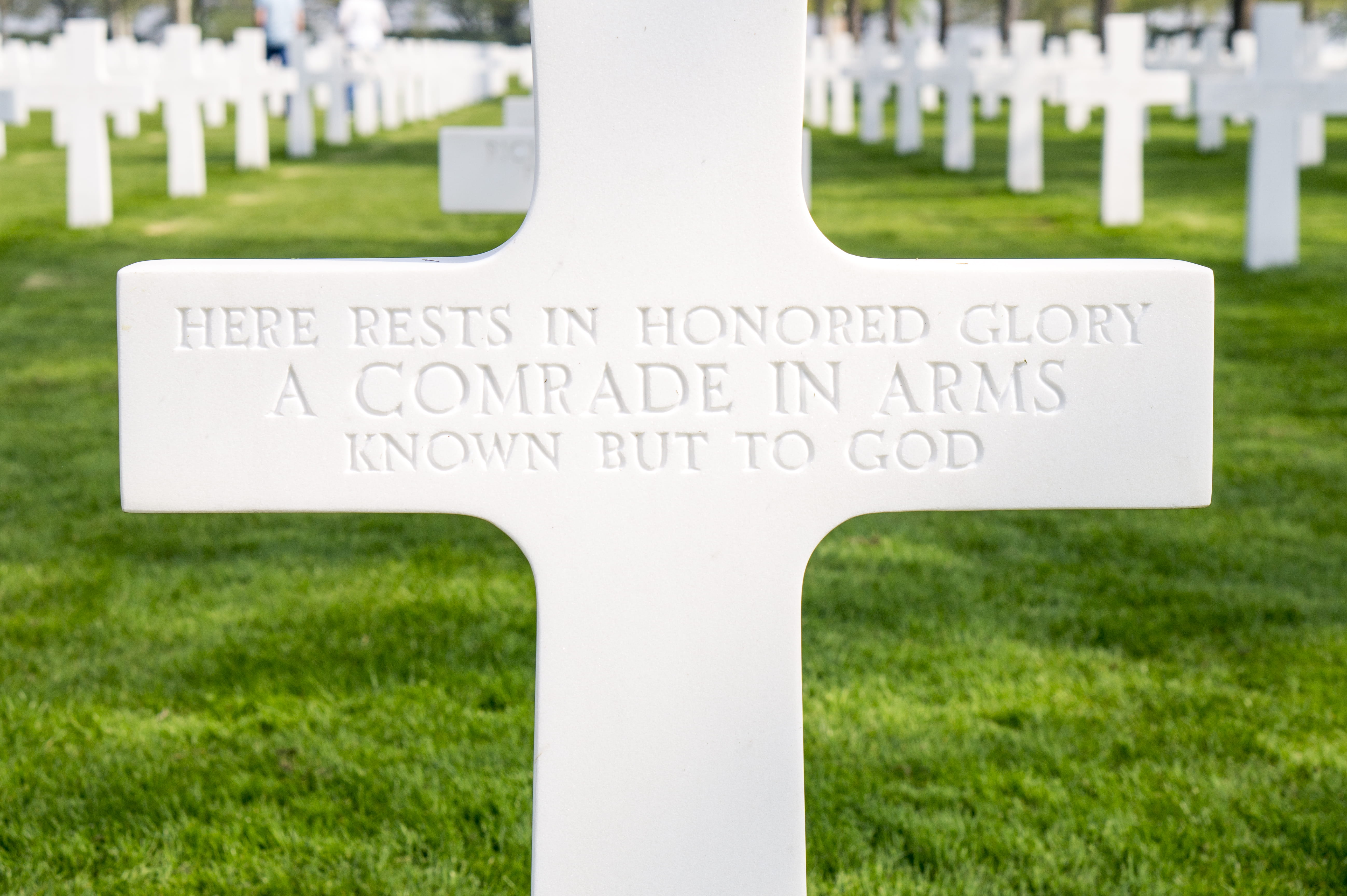 tombstone, stone, grass, word, no people, lawn, tomb, grave, typeography, plant, flora, nature, communication, fence, blur, cross, park, day, netherlands american cemetery, HD Wallpaper