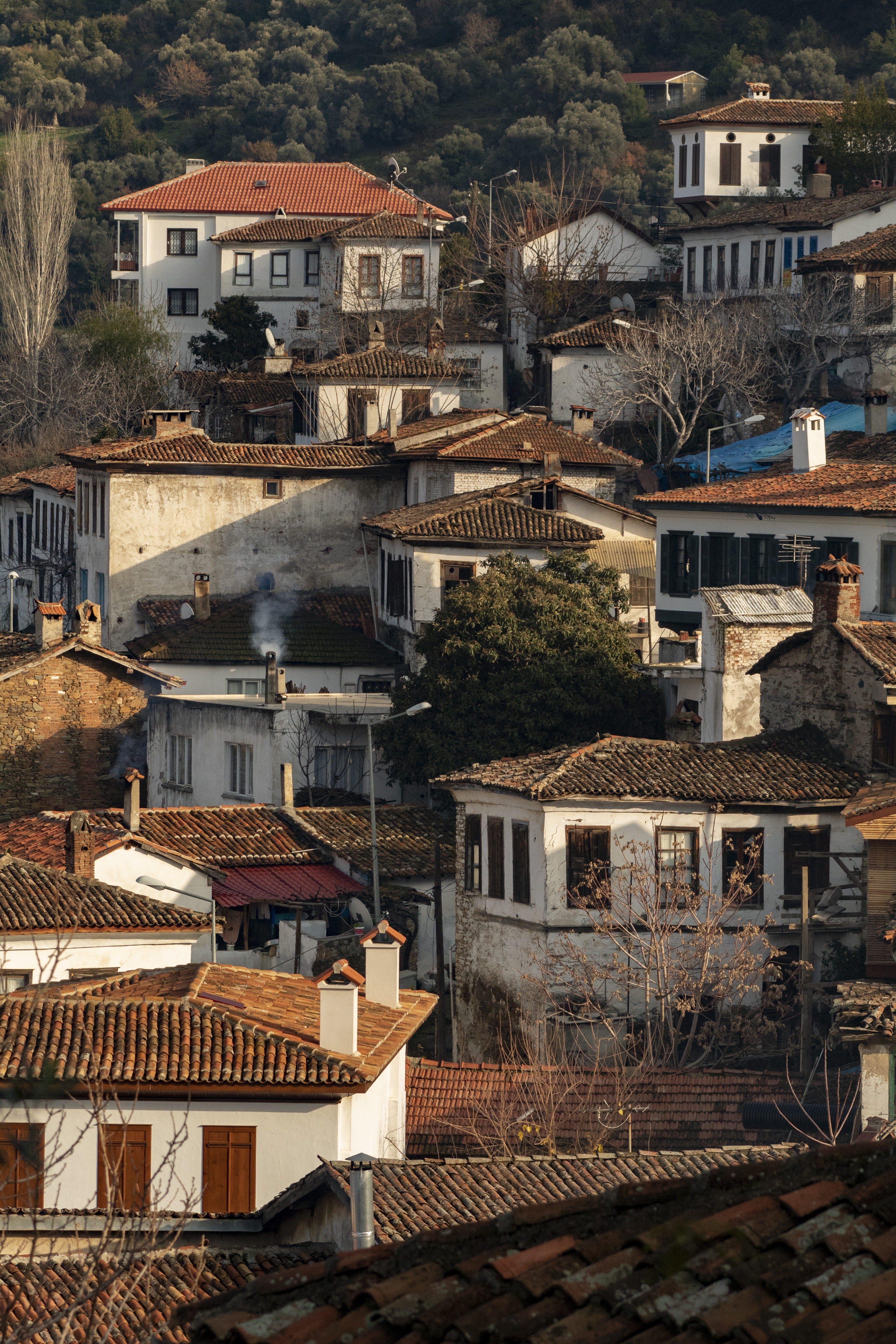 built structure, city, brown, landscape, wood, 5K, community, plant, village, roof, town, home, high angle view, road, portrait, nature, roof tile, sirince, Phone HD Wallpaper