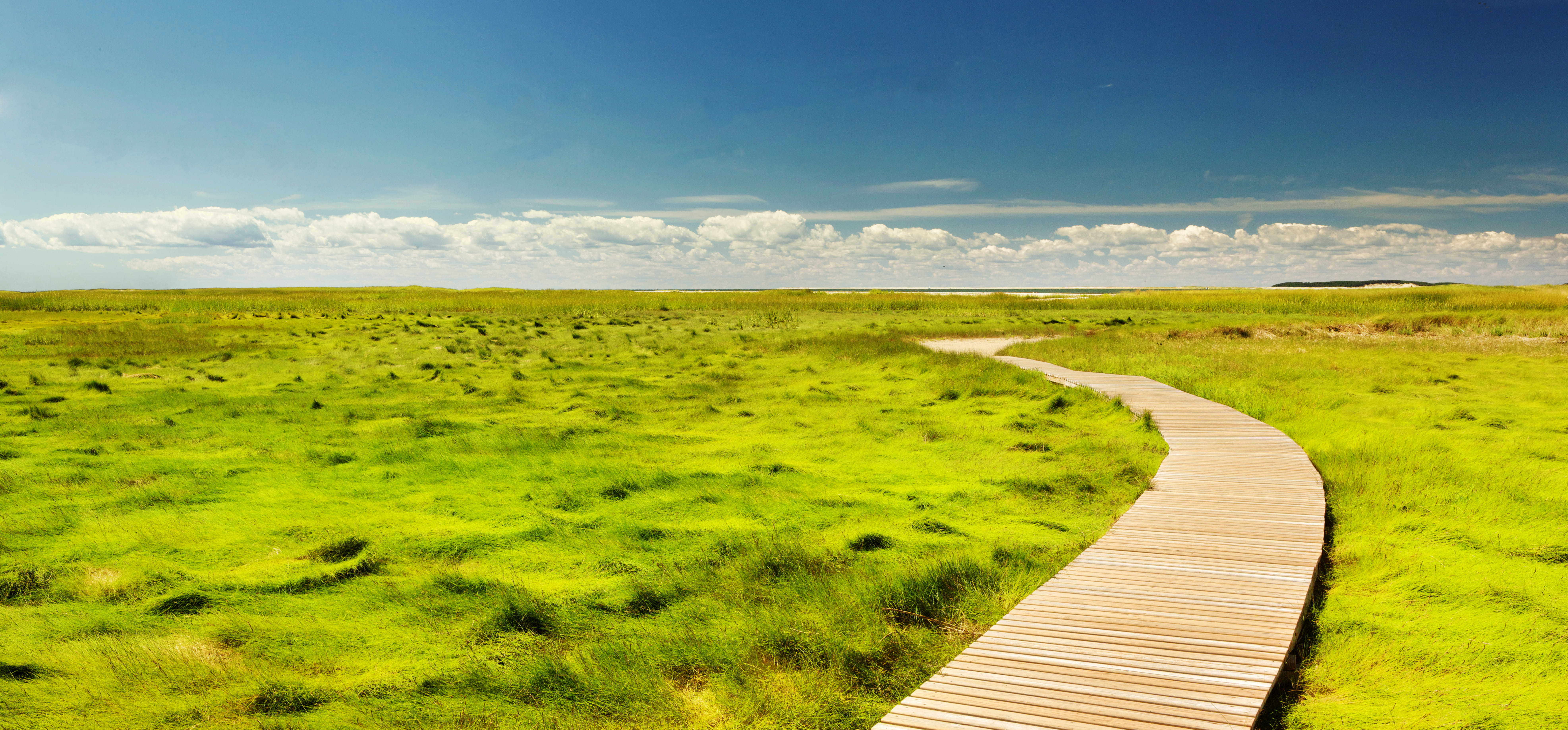 cloud - Sky, plain, animal wildlife, summer, surrounded, green grass, non-Urban Scene, road, plant, landscape, tranquility, meadow, boardwalk, nature, cloud, HD Wallpaper