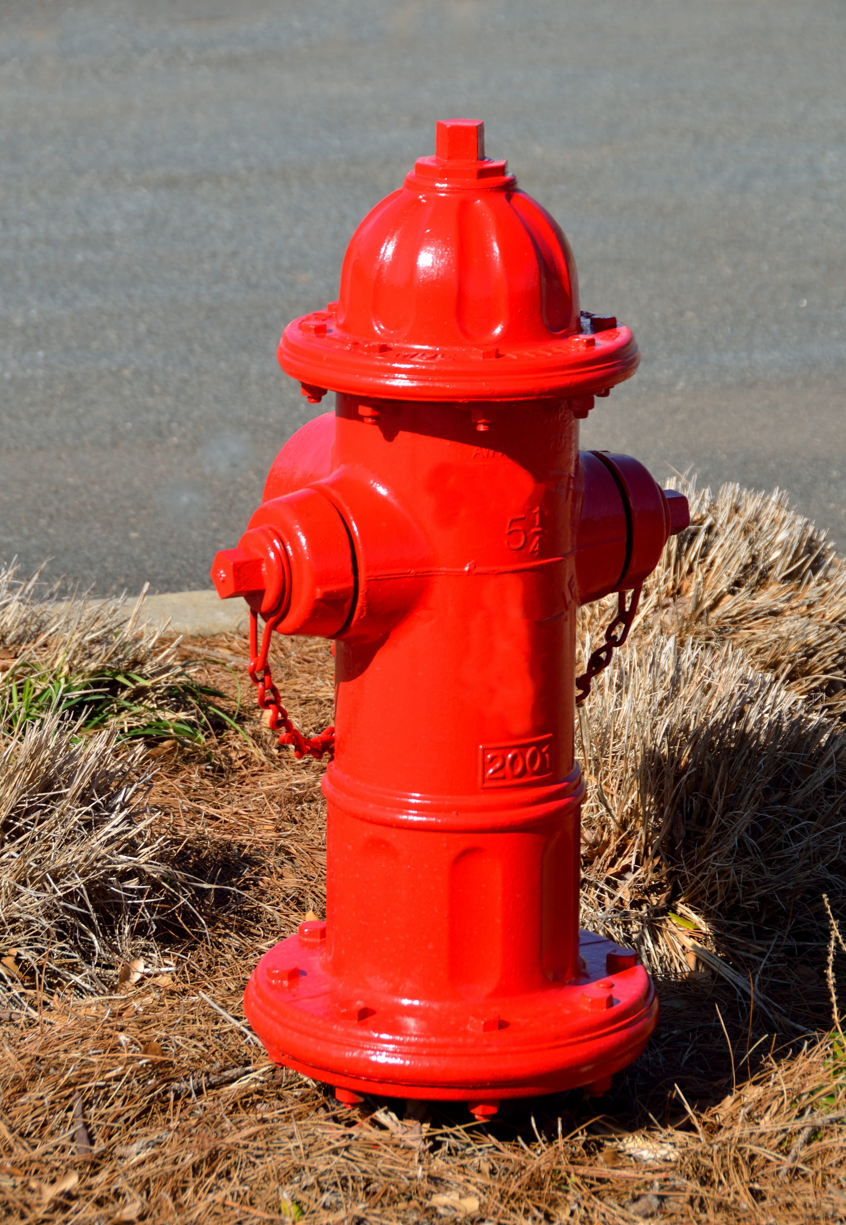 emergency, sunlight, rescue, plug, mailbox, hydrant, hose, color, valve, pressure, red, grass, sand, danger, plant, 4K, Fire Hydrant, footpath, field, Phone HD Wallpaper